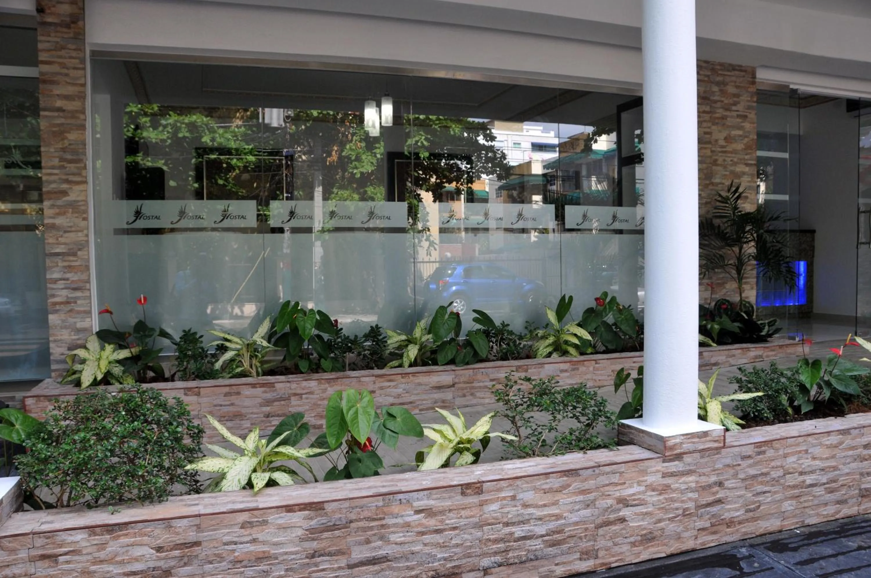 Day in Hostal San Francisco de Asis