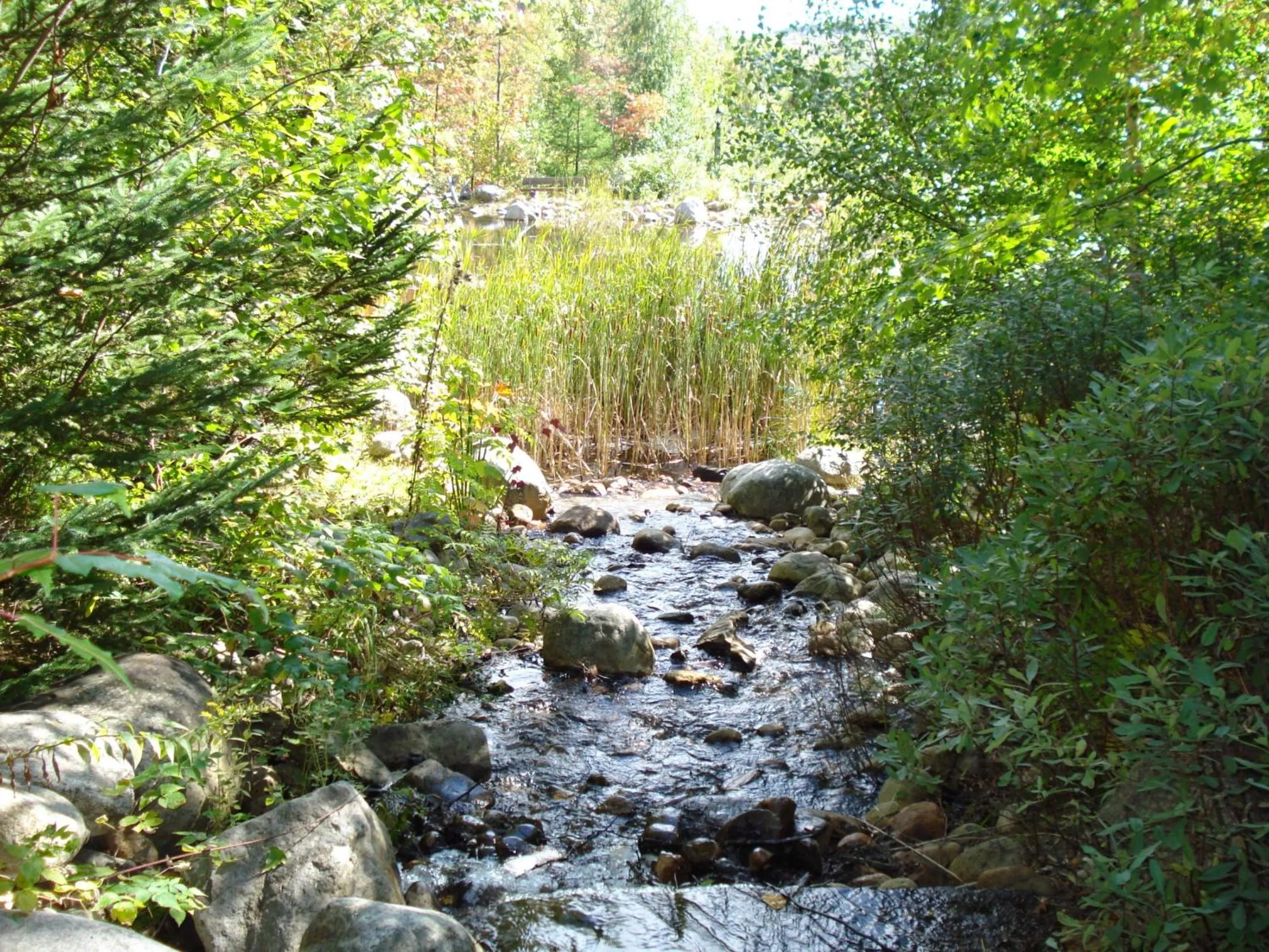Natural landscape in Le Plateau by Rendez-Vous Mont-Tremblant