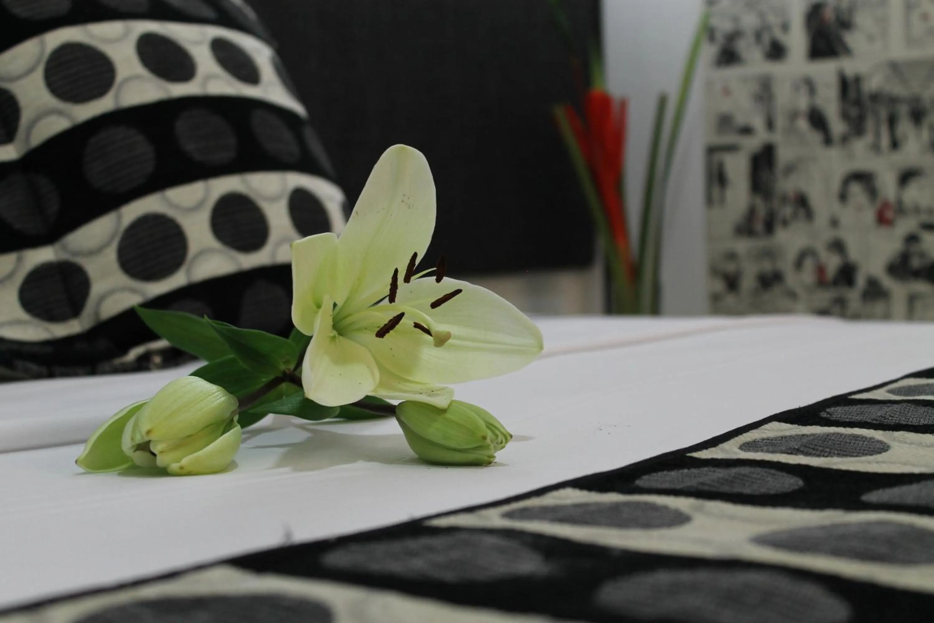 Area and facilities, Bed in La Cabrera Hotel Boutique