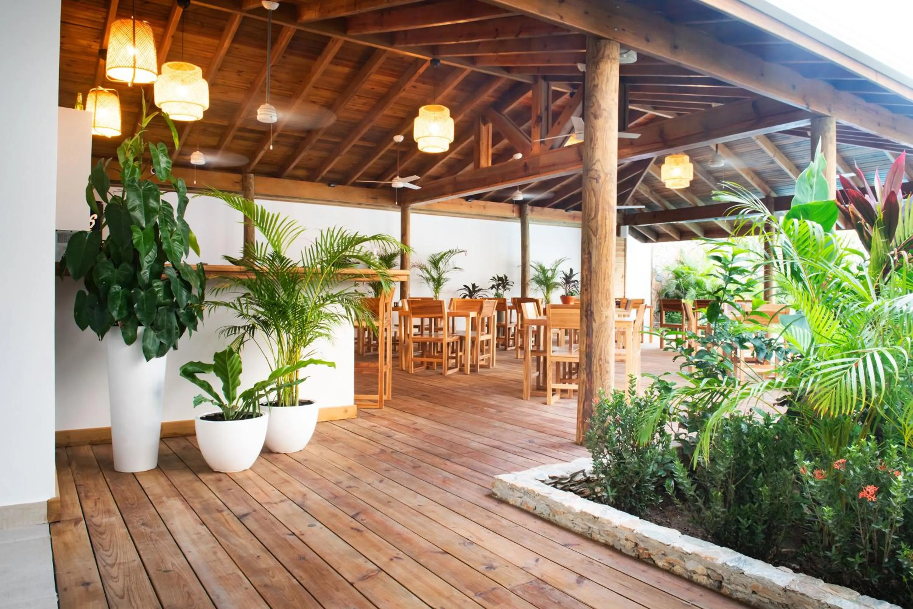 Restaurant/places to eat in Naboo Resort & Dive Center - Adults Only