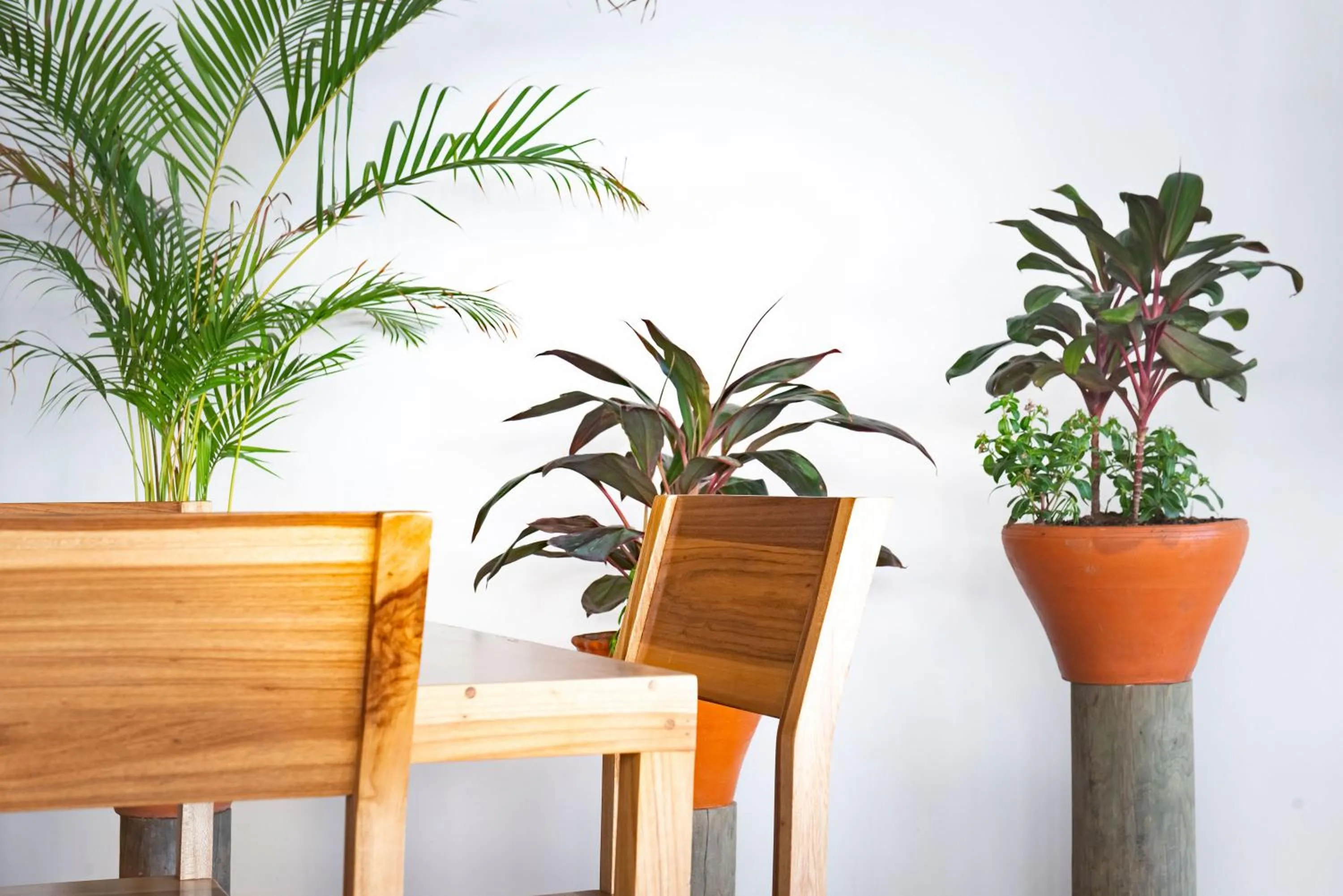 Decorative detail in Naboo Resort & Dive Center - Adults Only