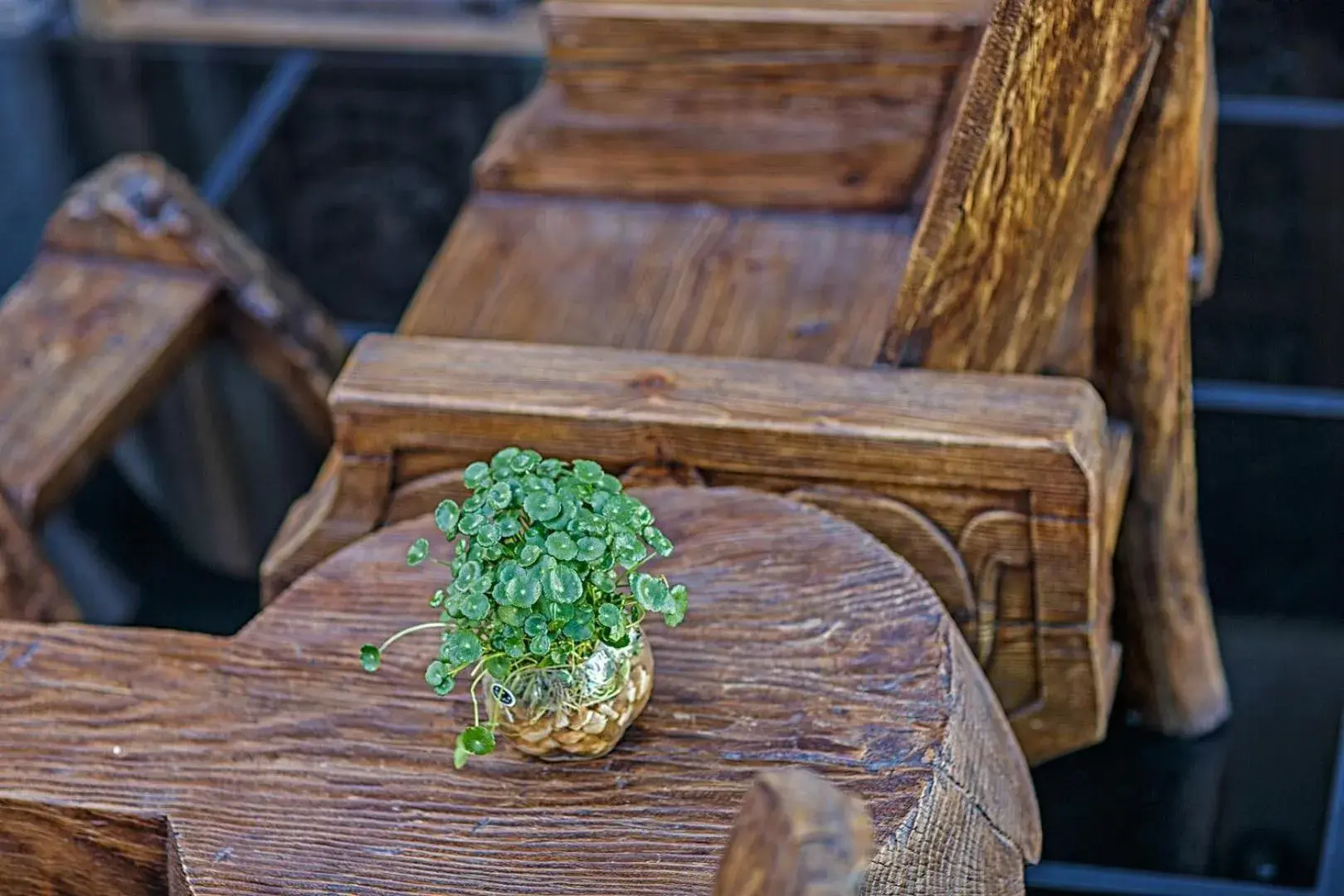 Lounge or bar in Old Story Inn Dali Ancient Town Lounge or bar in Old Story Inn Dali Ancient Town