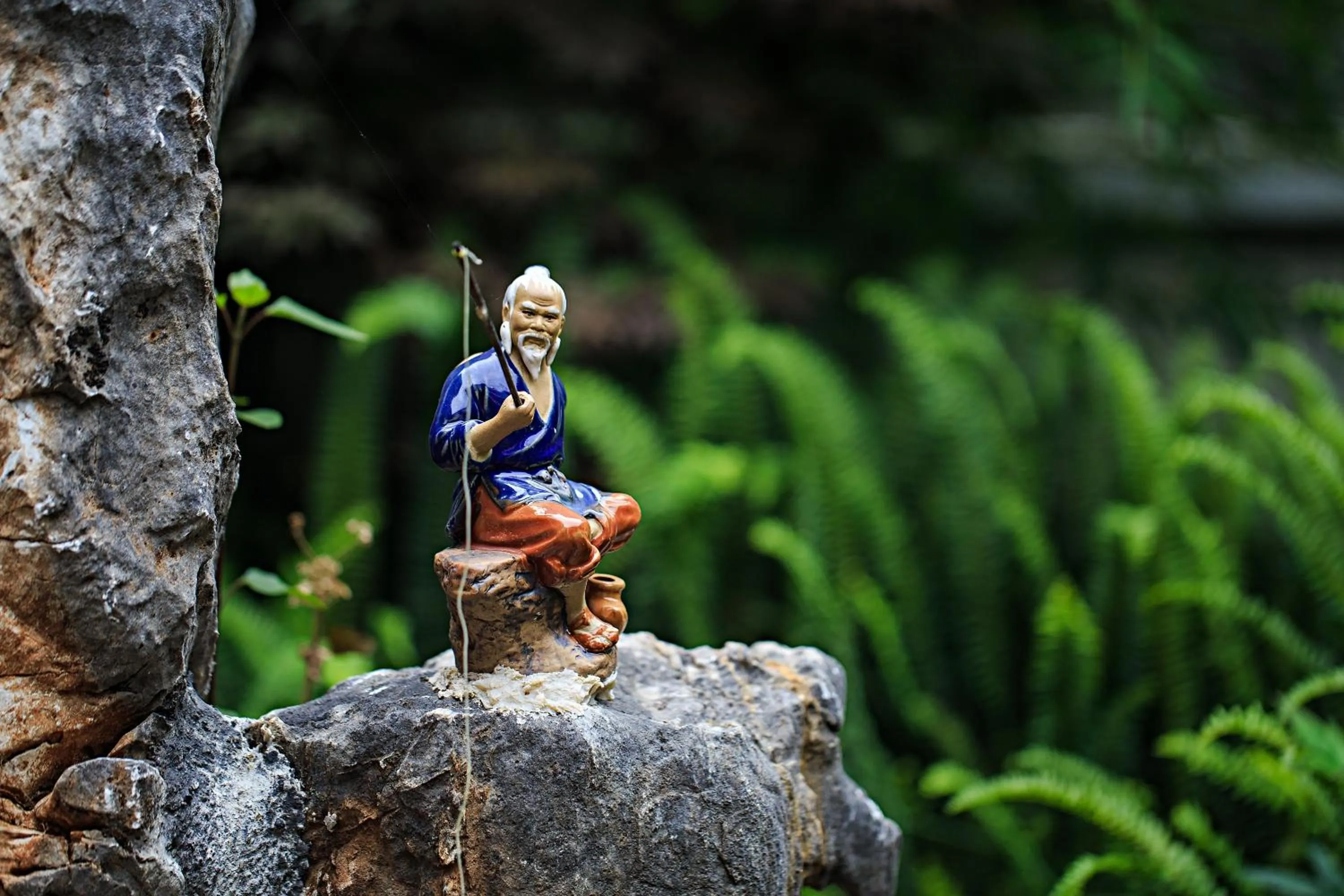 Garden in Old Story Inn Dali Ancient Town