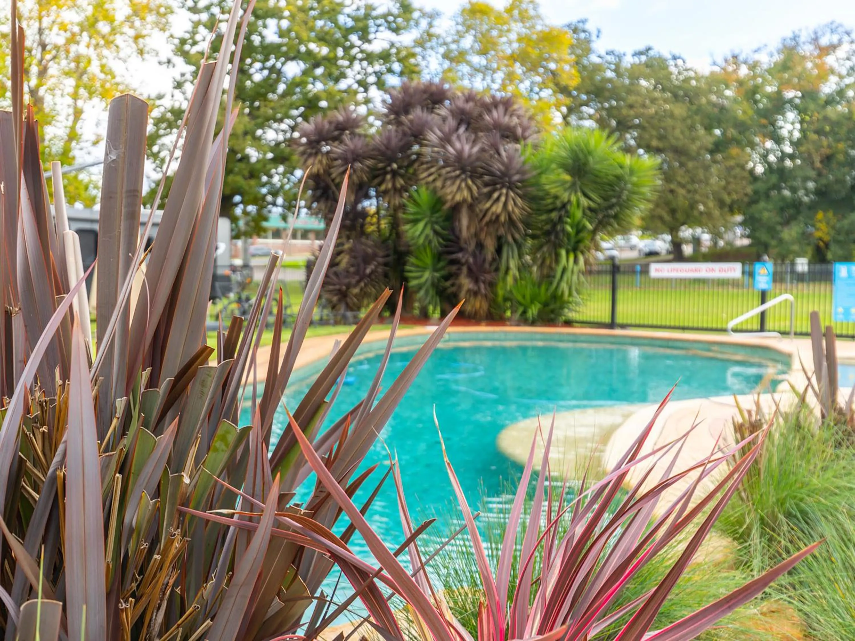 Swimming pool in NRMA Bairnsdale Riverside Holiday Park