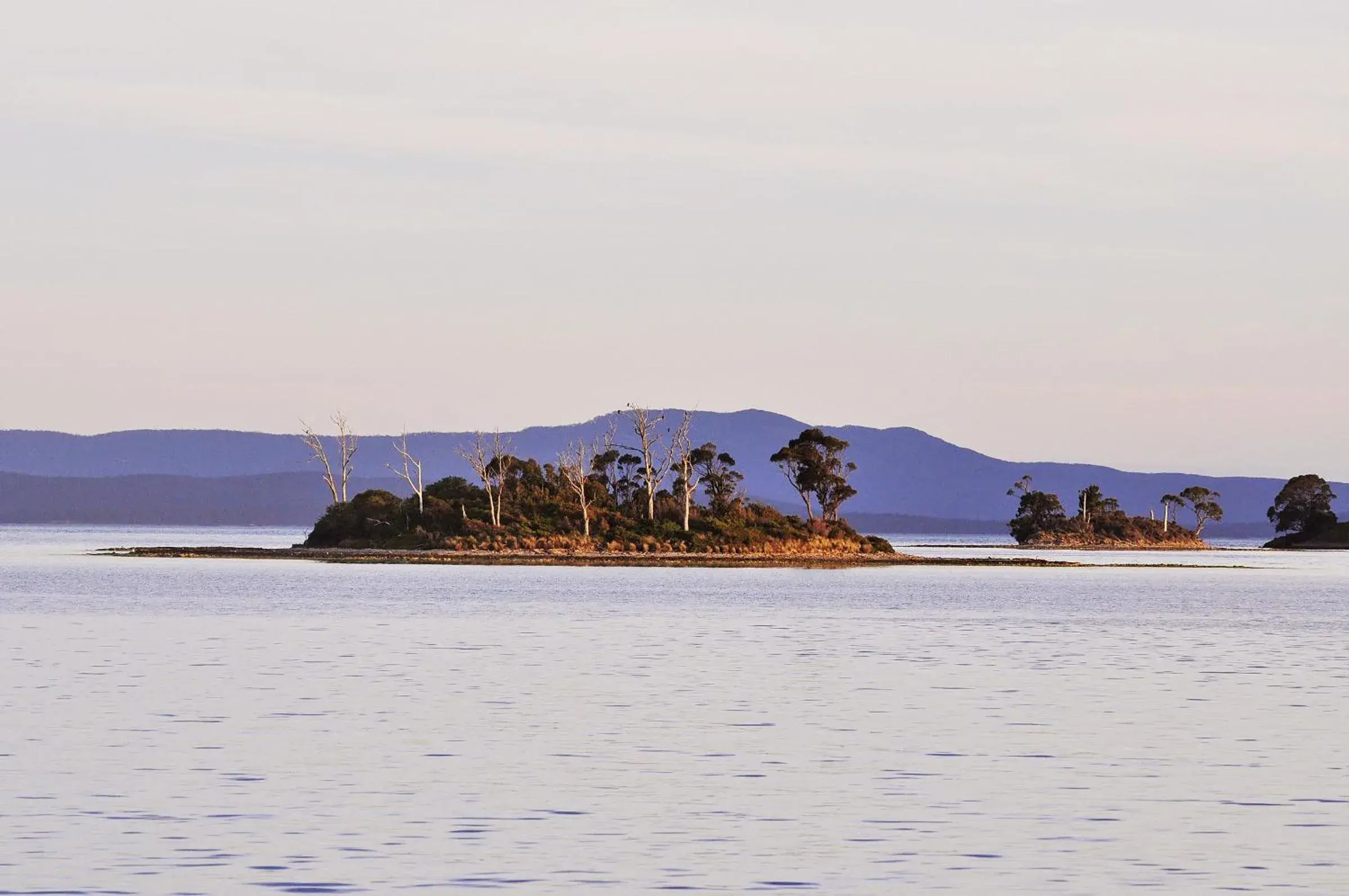 View (from property/room) in Smugglers Rest Apartments Dover View (from property/room) in Smugglers Rest Apartments Dover