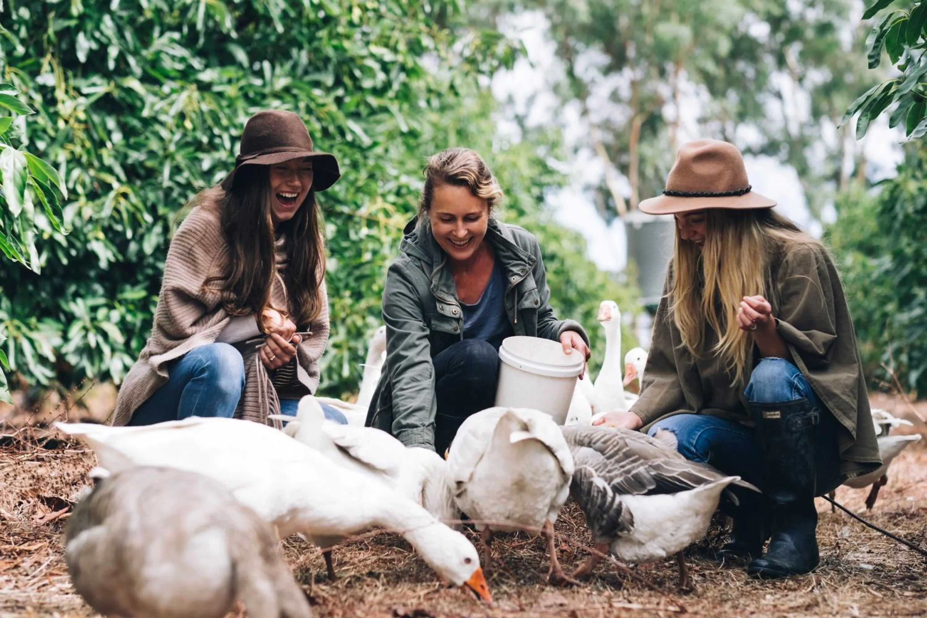 Activities in Burnside Organic Farm