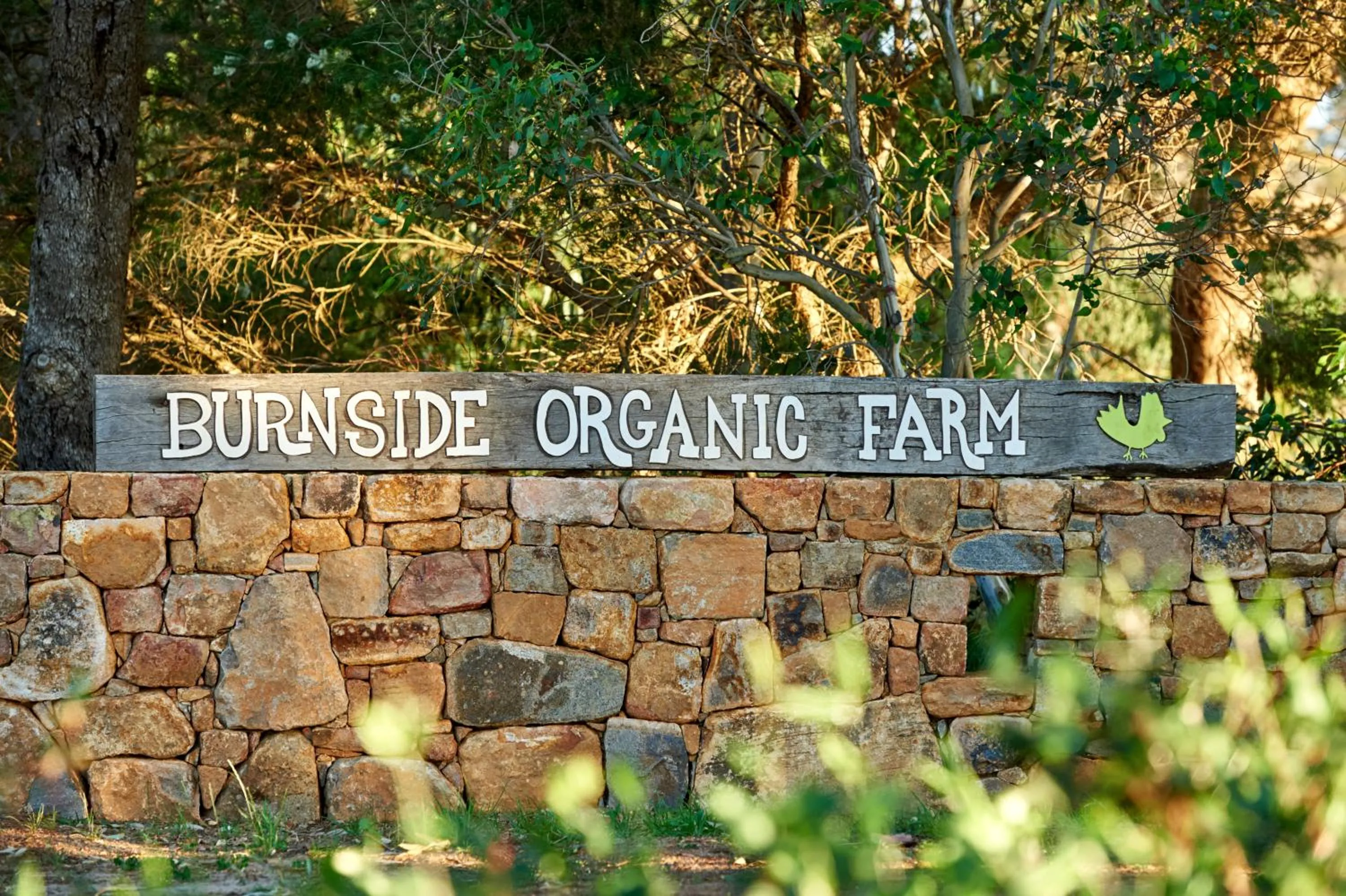 Logo/Certificate/Sign in Burnside Organic Farm