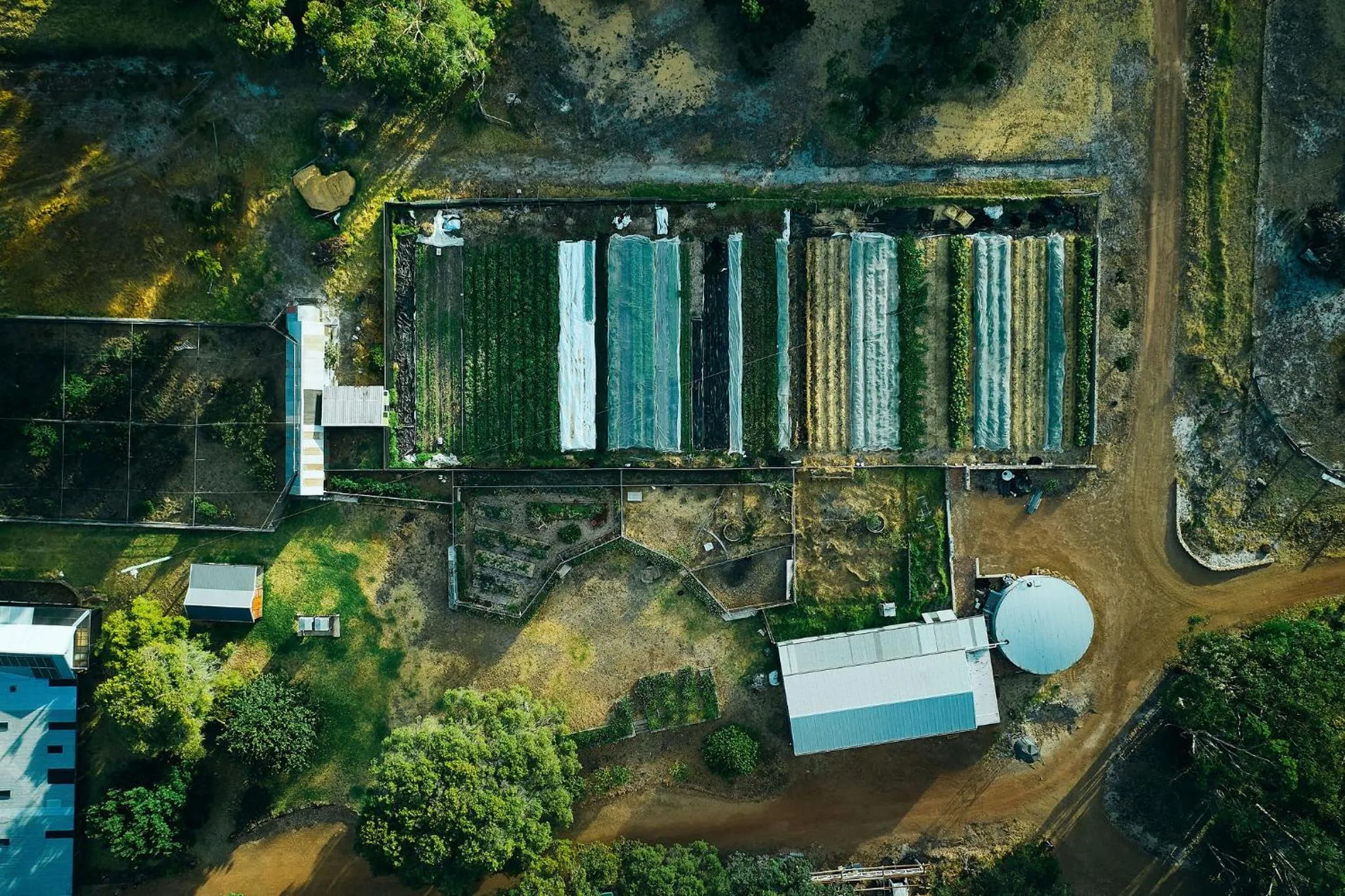 View (from property/room) in Burnside Organic Farm