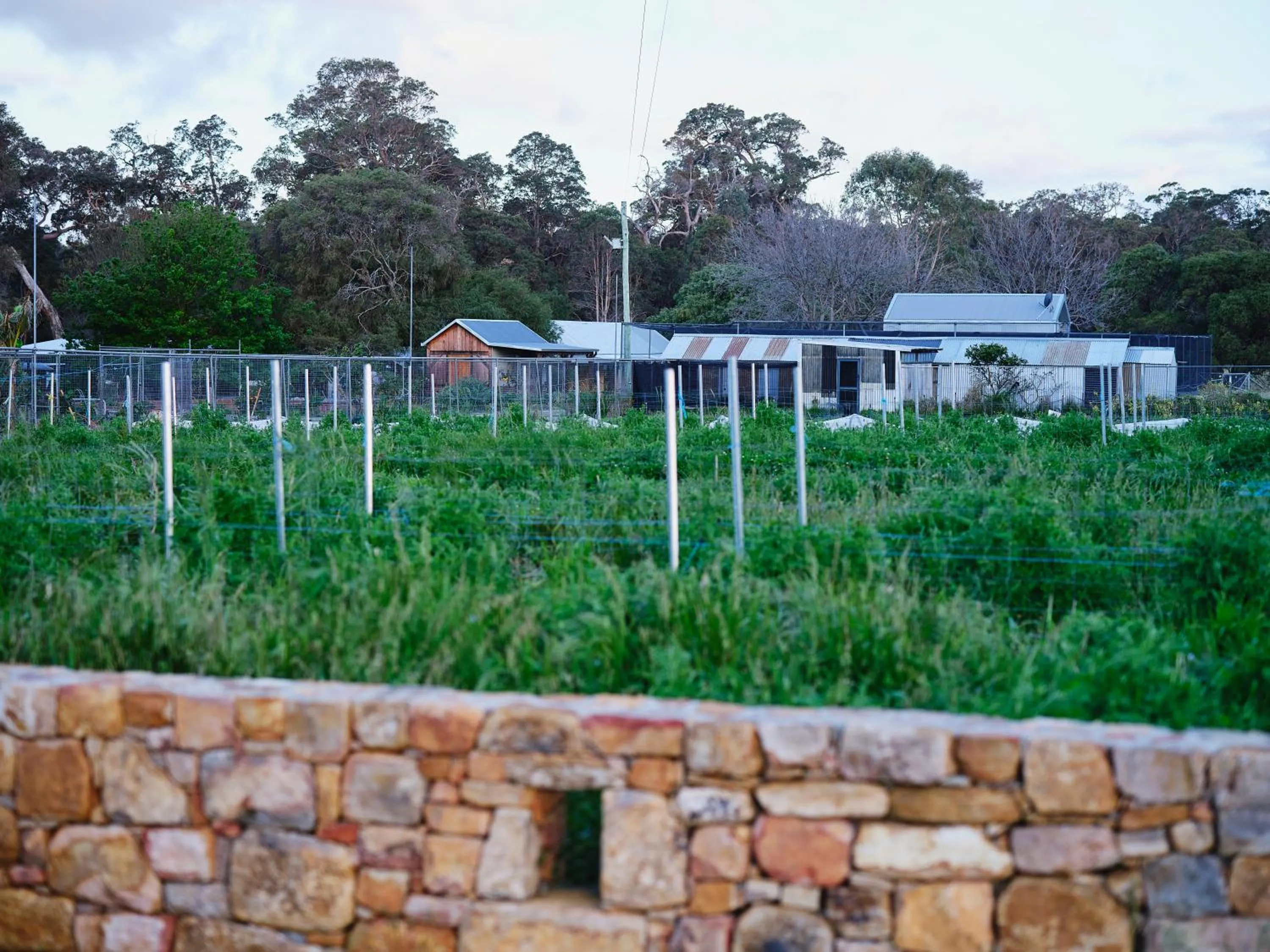 Area and facilities in Burnside Organic Farm