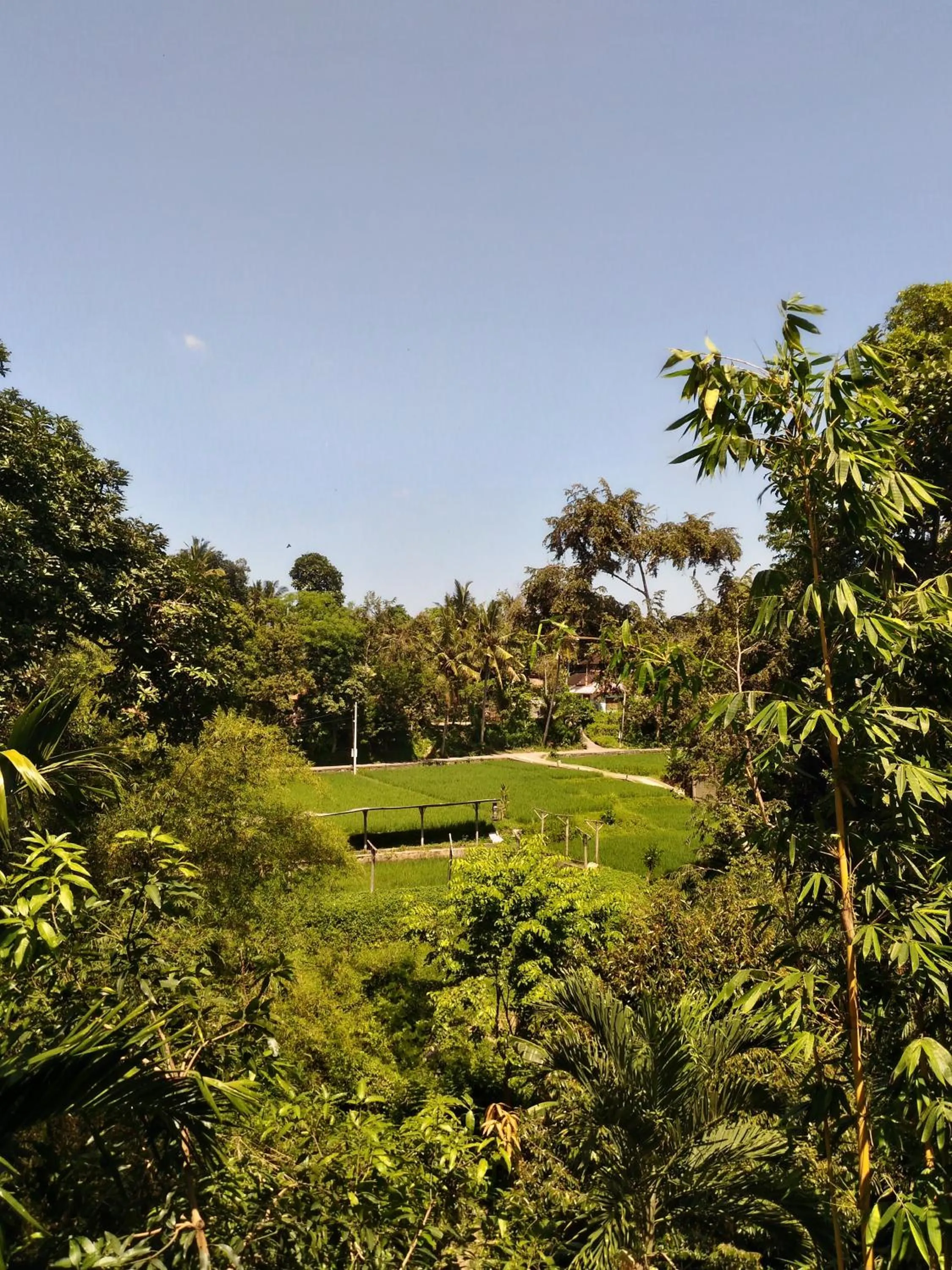 Natural landscape in Prasanti Bed & Breakfast