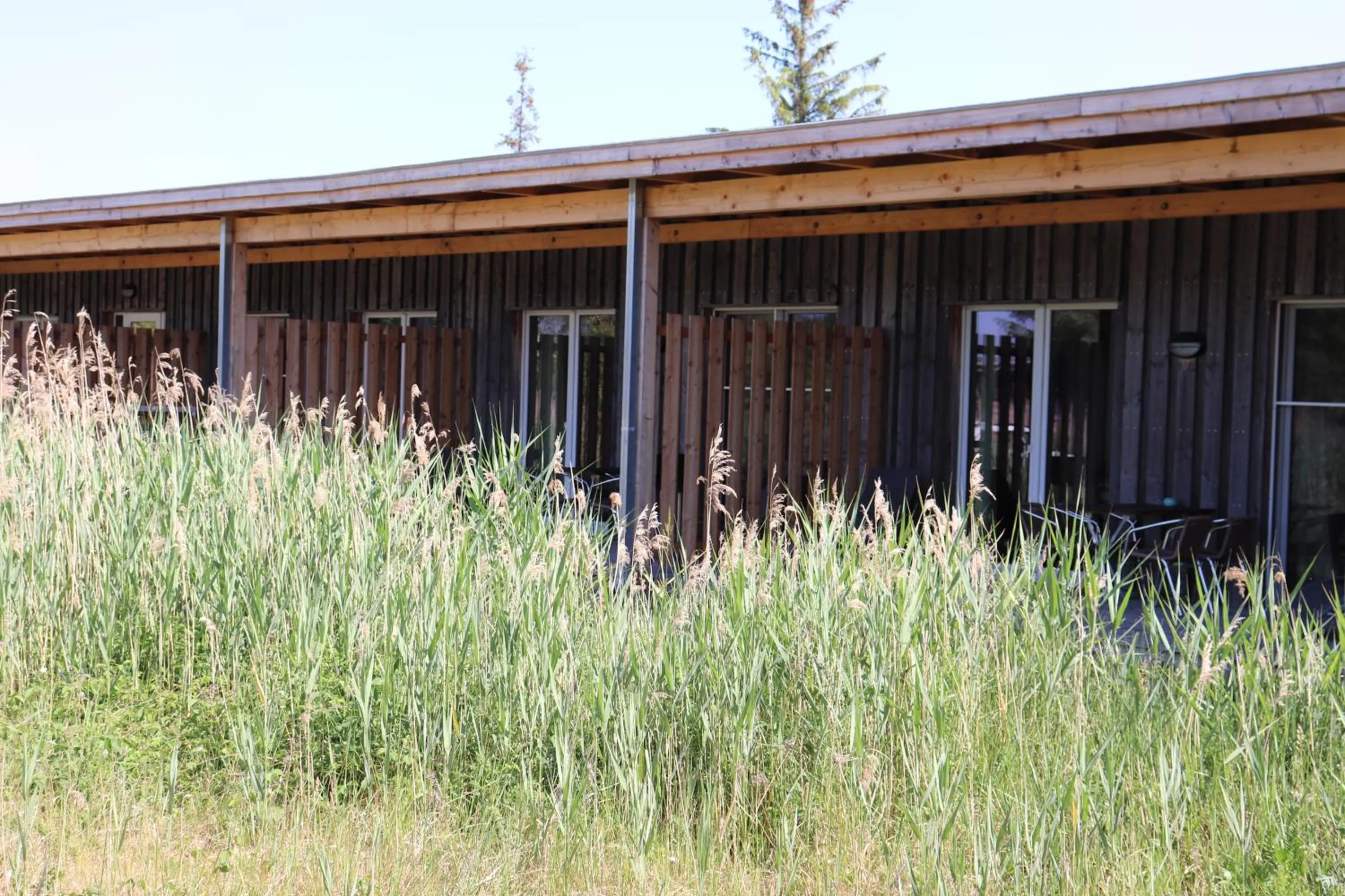 Garden in Halbinsel Resort Peenemünde