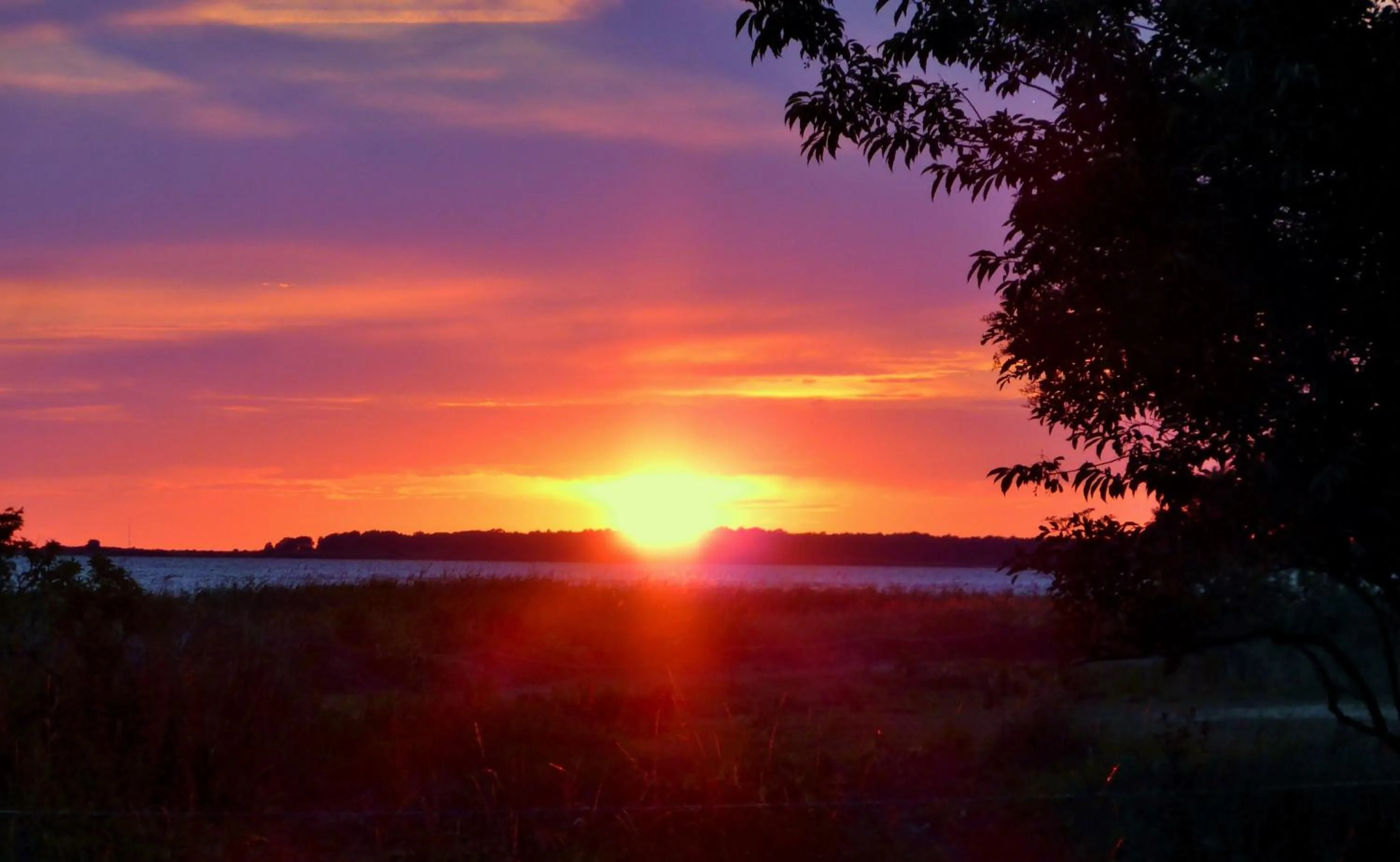 Natural landscape in Halbinsel Resort Peenemünde