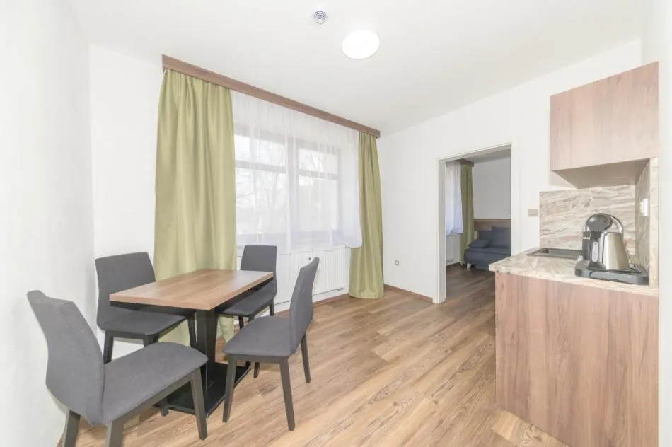 Kitchen or kitchenette in Hotel Grand