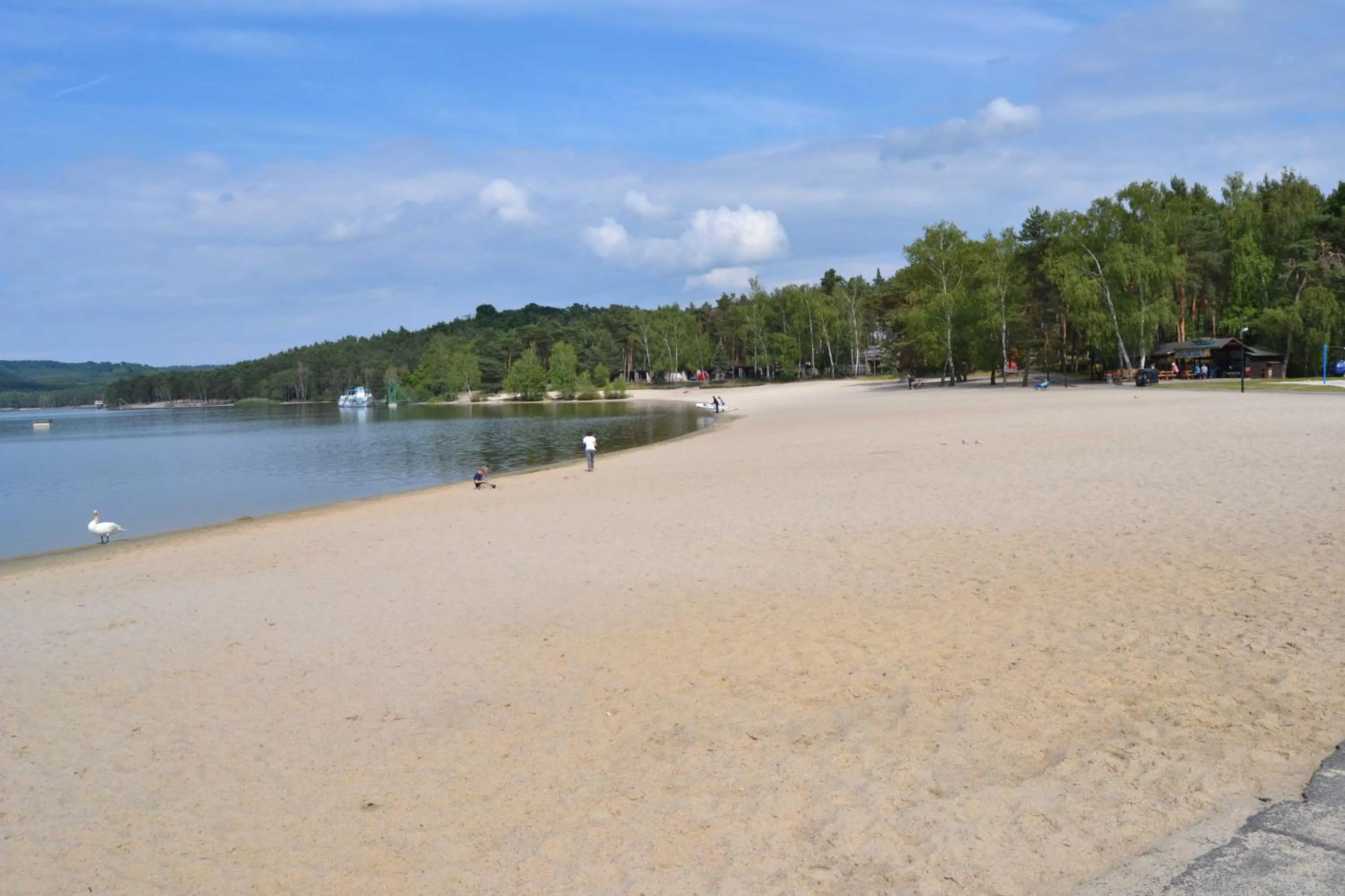 Natural landscape in Hotel Grand
