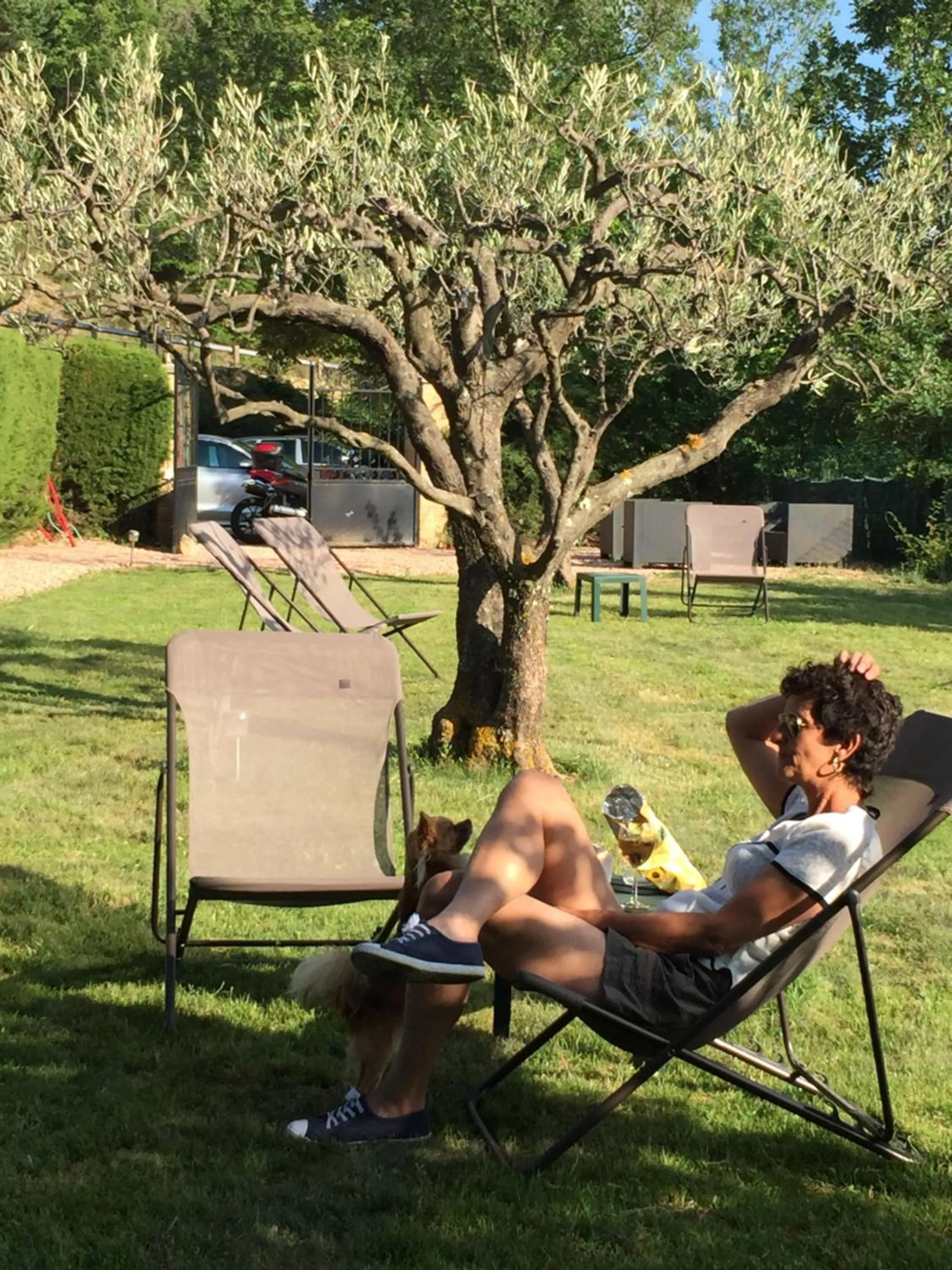 Day in Le Bosquet