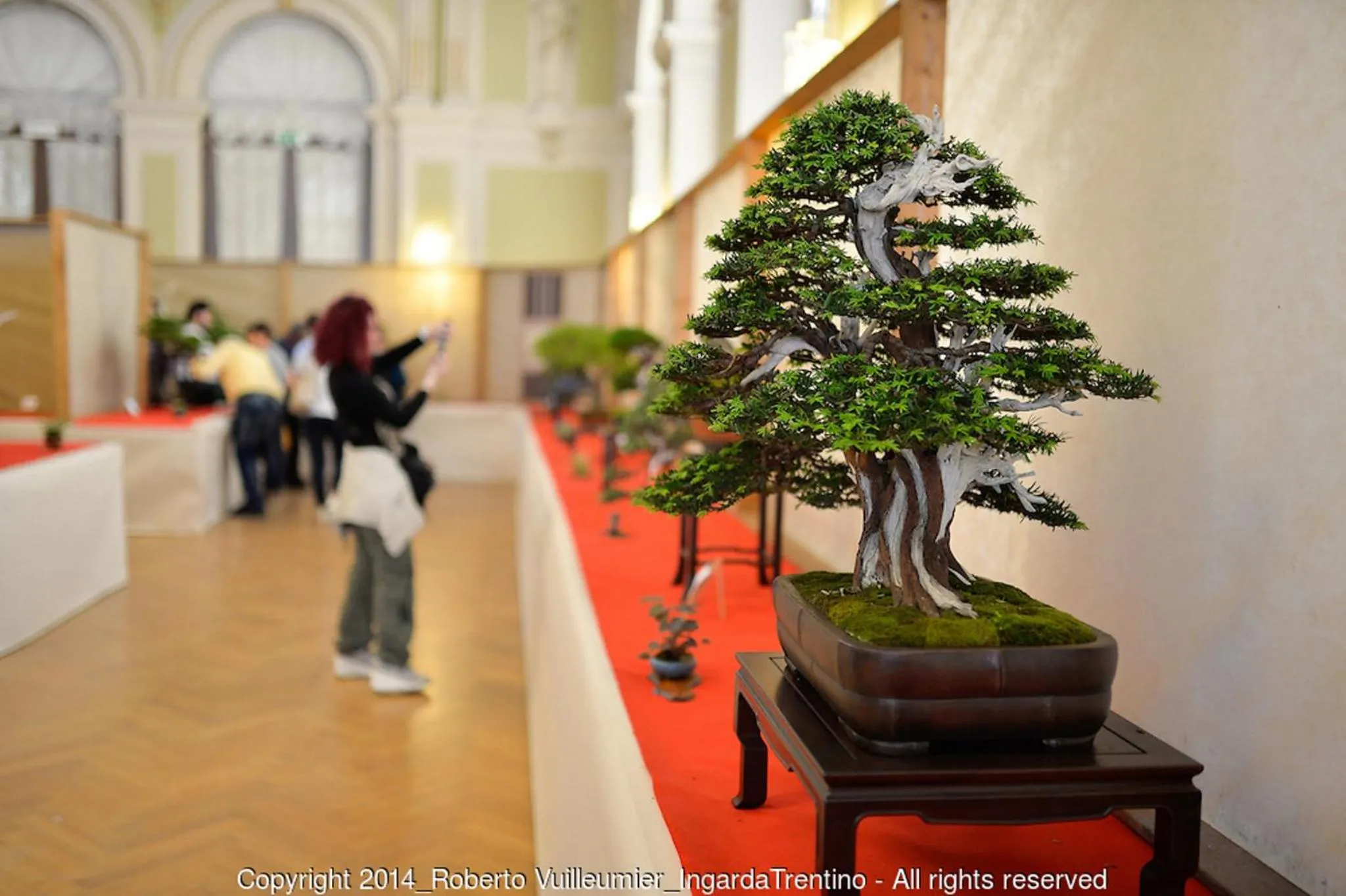 Cycling in Albergo Ristorante Da Neni