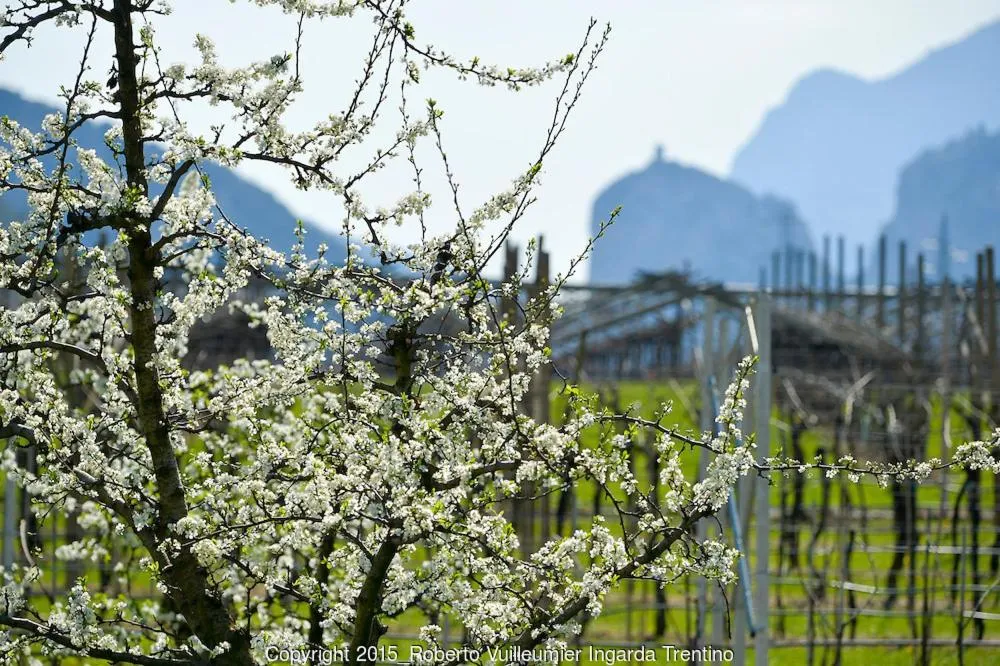 Activities in Albergo Ristorante Da Neni