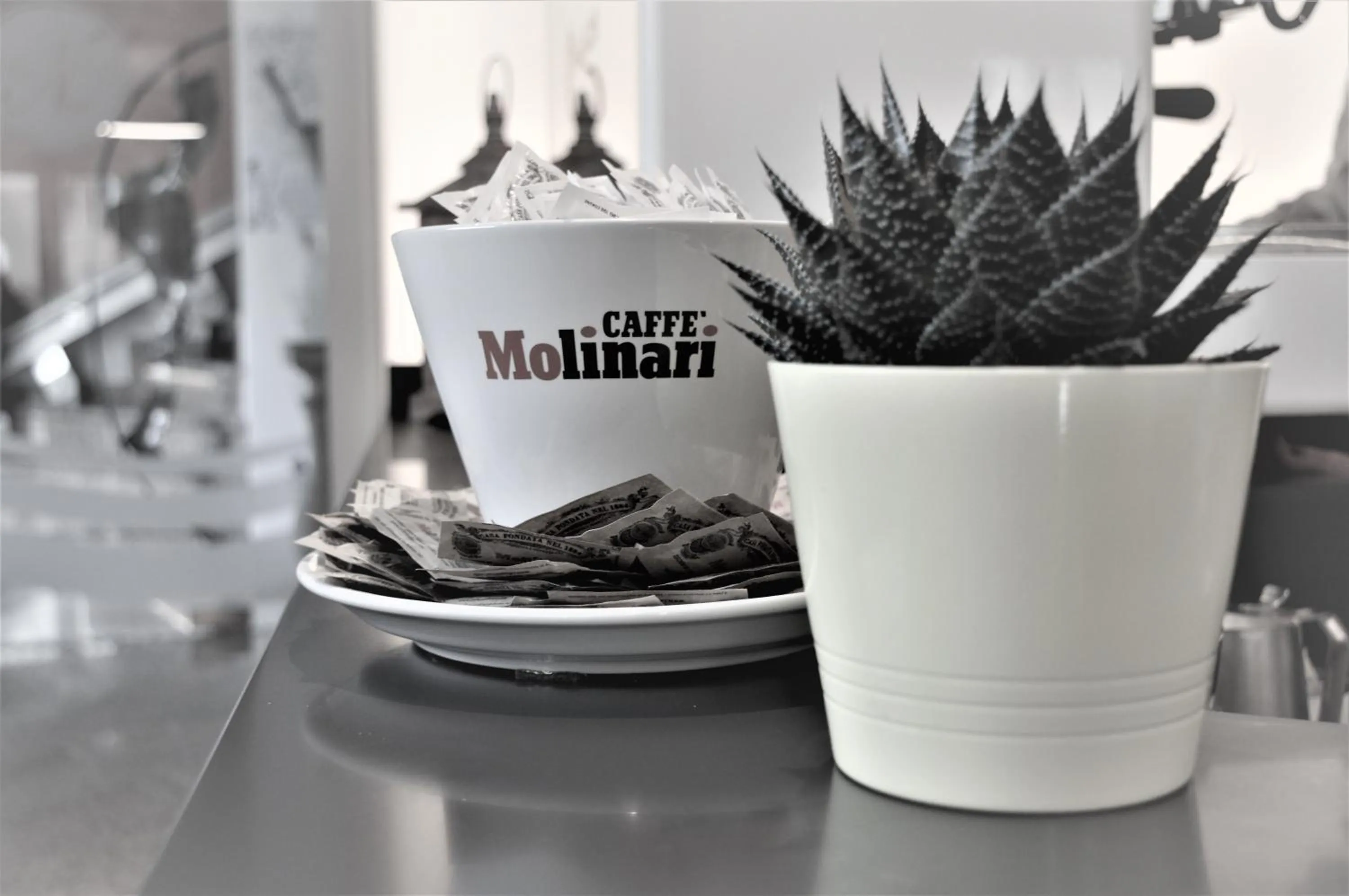 Lounge or bar in Albergo Ristorante Da Neni