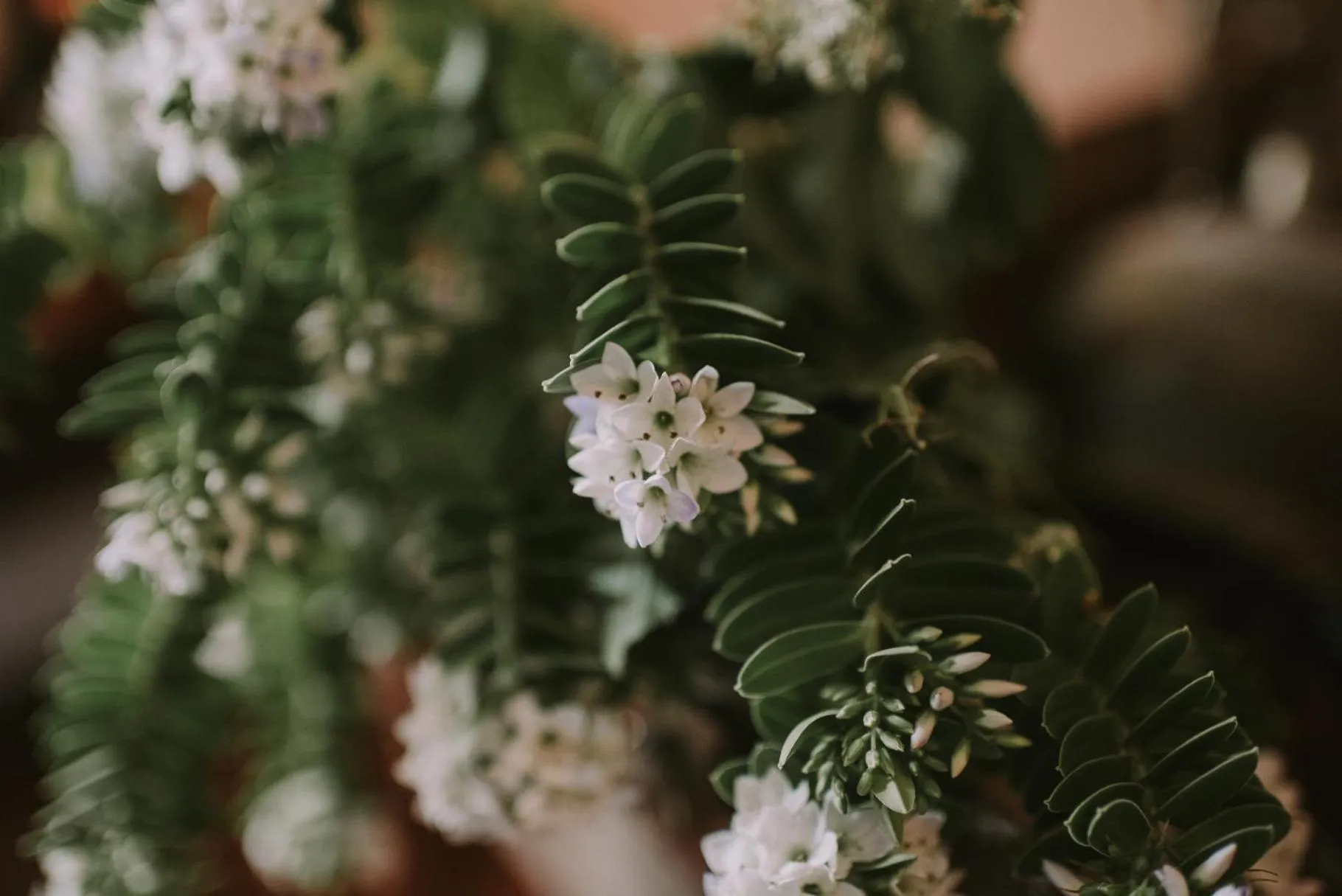 Decorative detail in Royal Valentia Hotel
