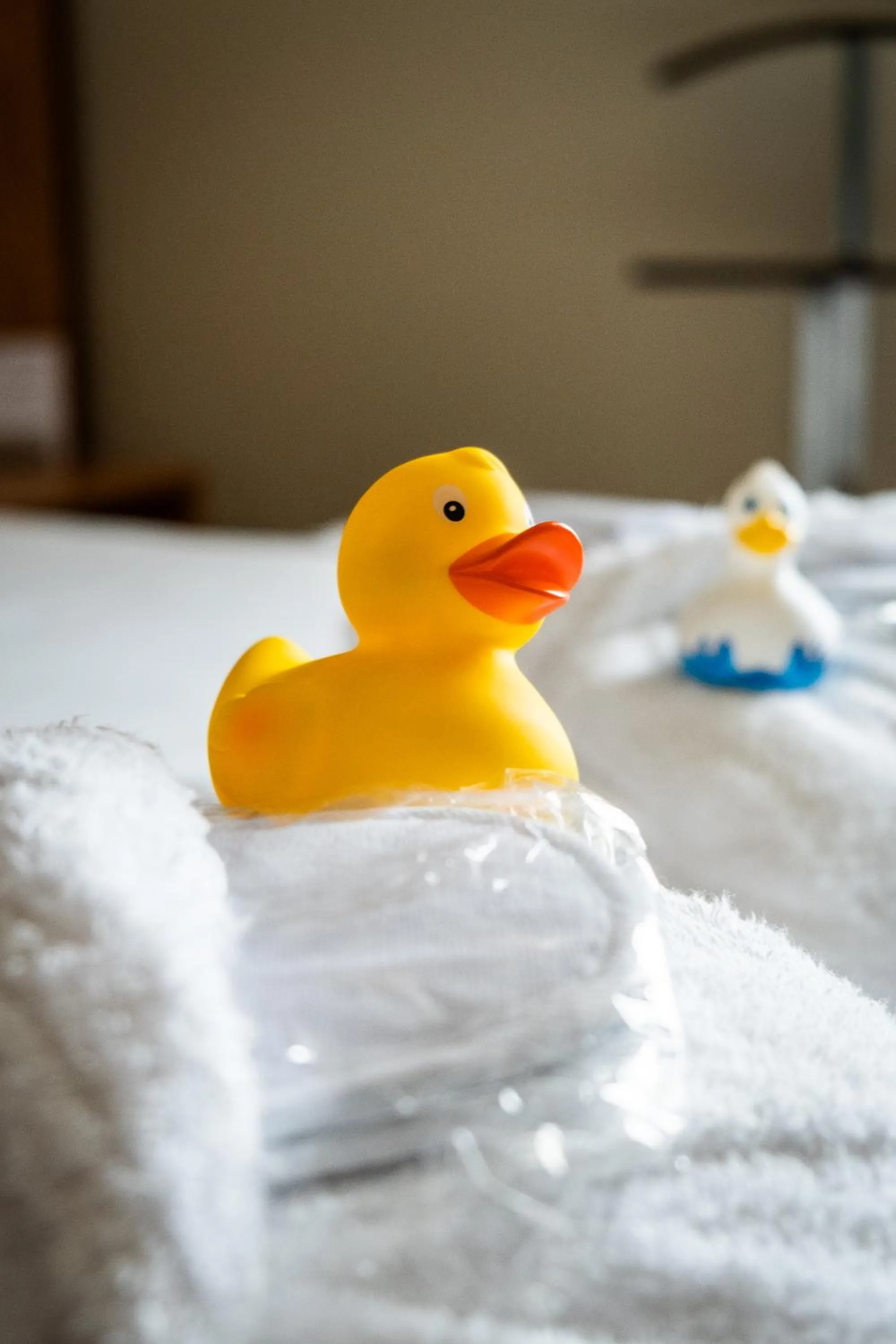 Property building in Best Western Plus Le Canard sur le Toit