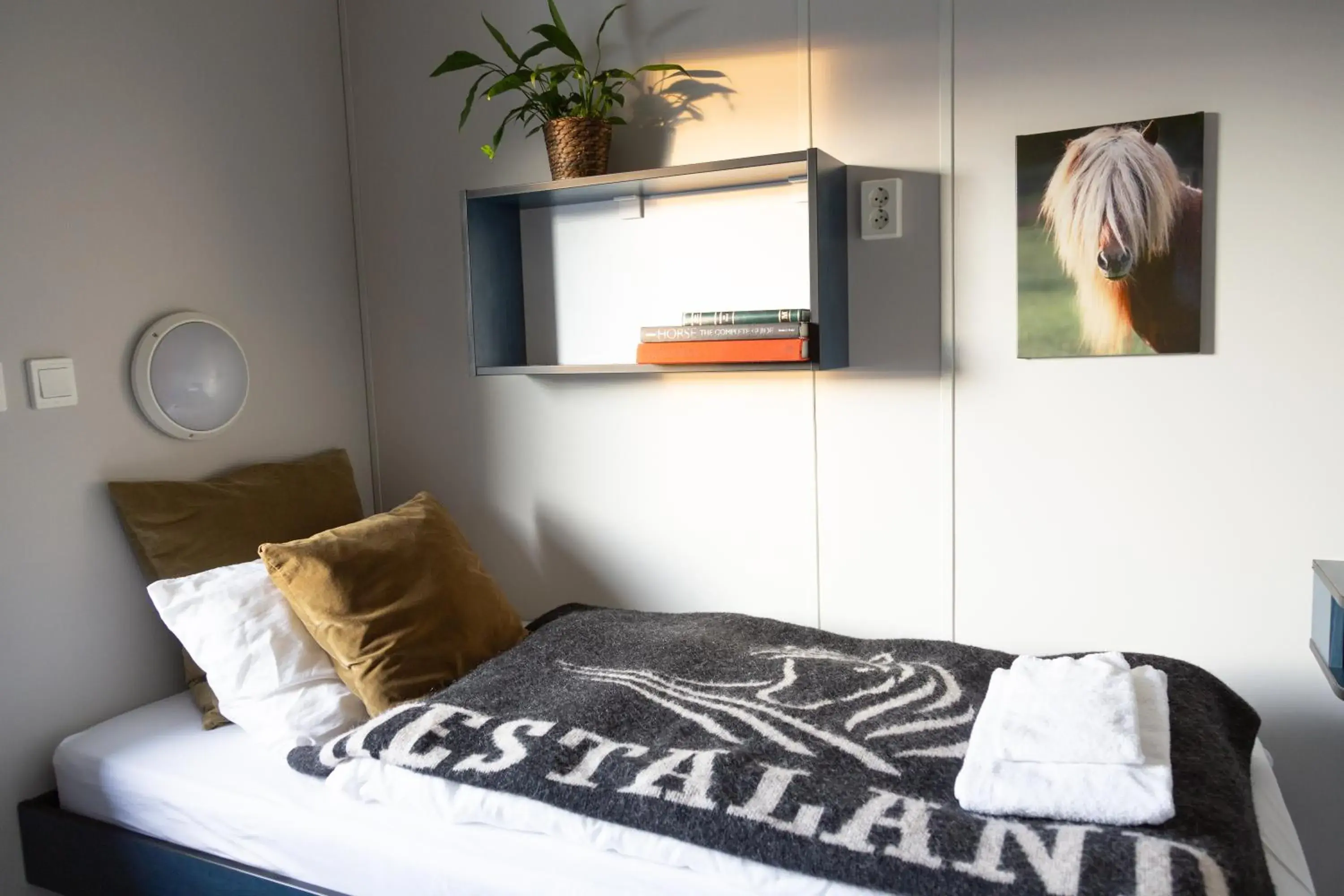 Single Room with Shared Bathroom in Hestaland Guesthouse Horse Farm Stay Single Room with Shared Bathroom in Hestaland Guesthouse Horse Farm Stay