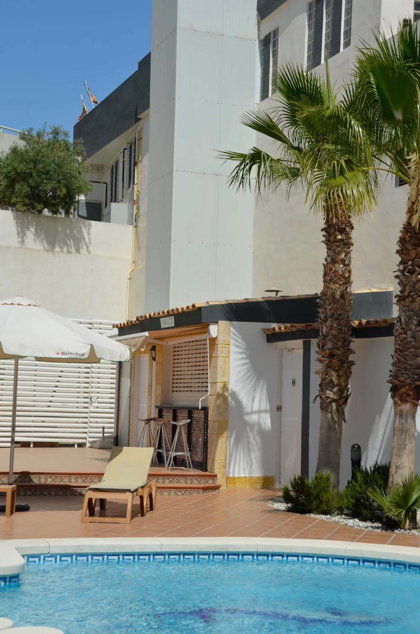 Day in La Familia Gallo Rojo