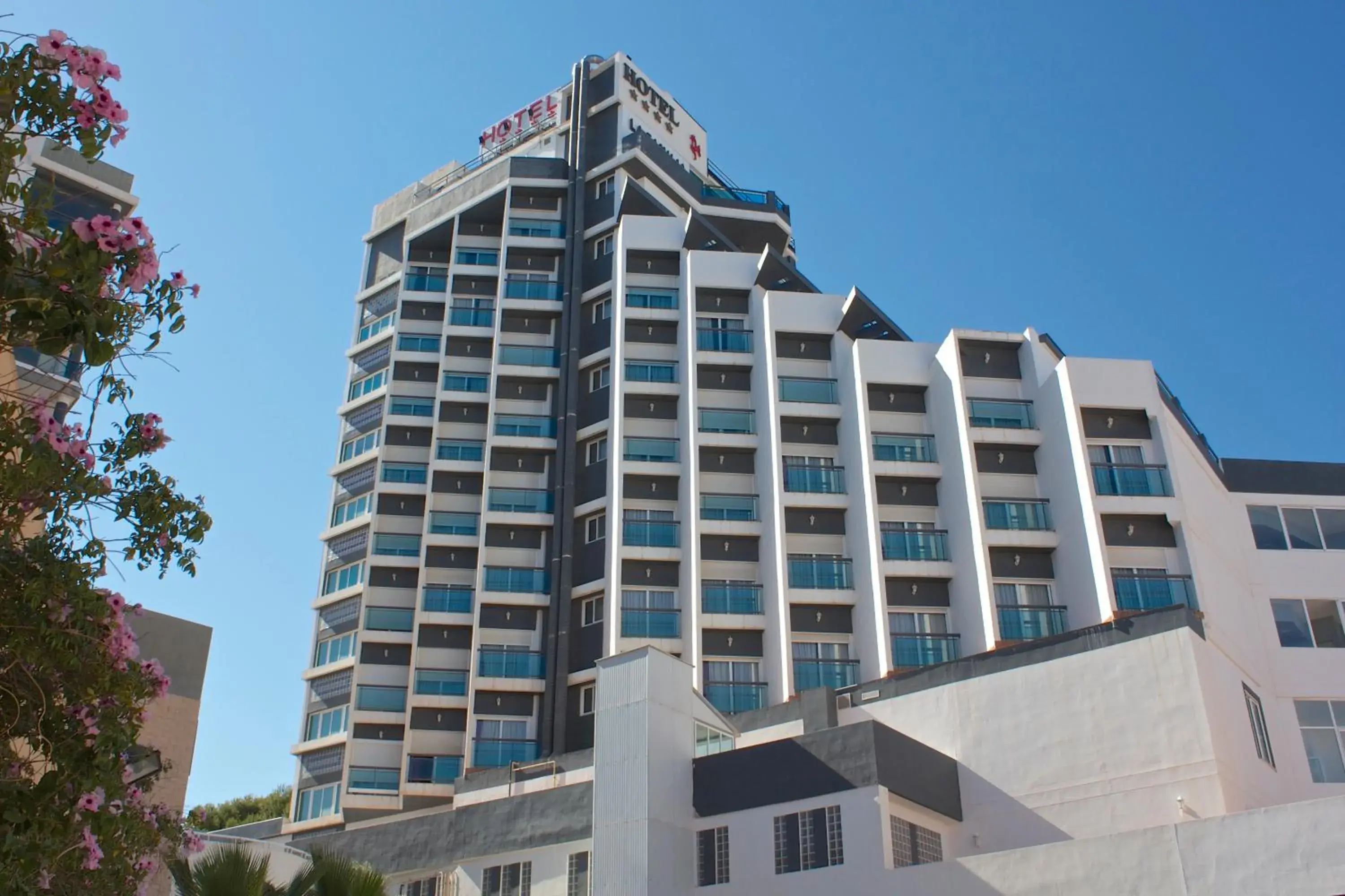 Facade/entrance in La Familia Gallo Rojo Facade/entrance in La Familia Gallo Rojo