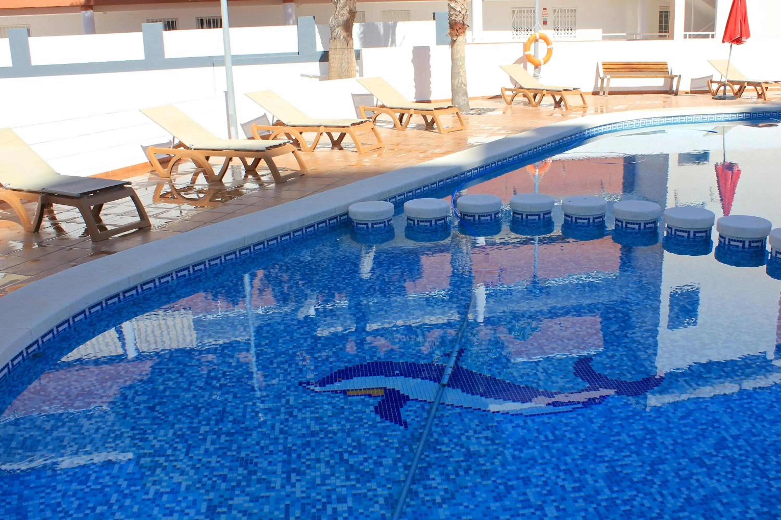 Swimming pool in La Familia Gallo Rojo