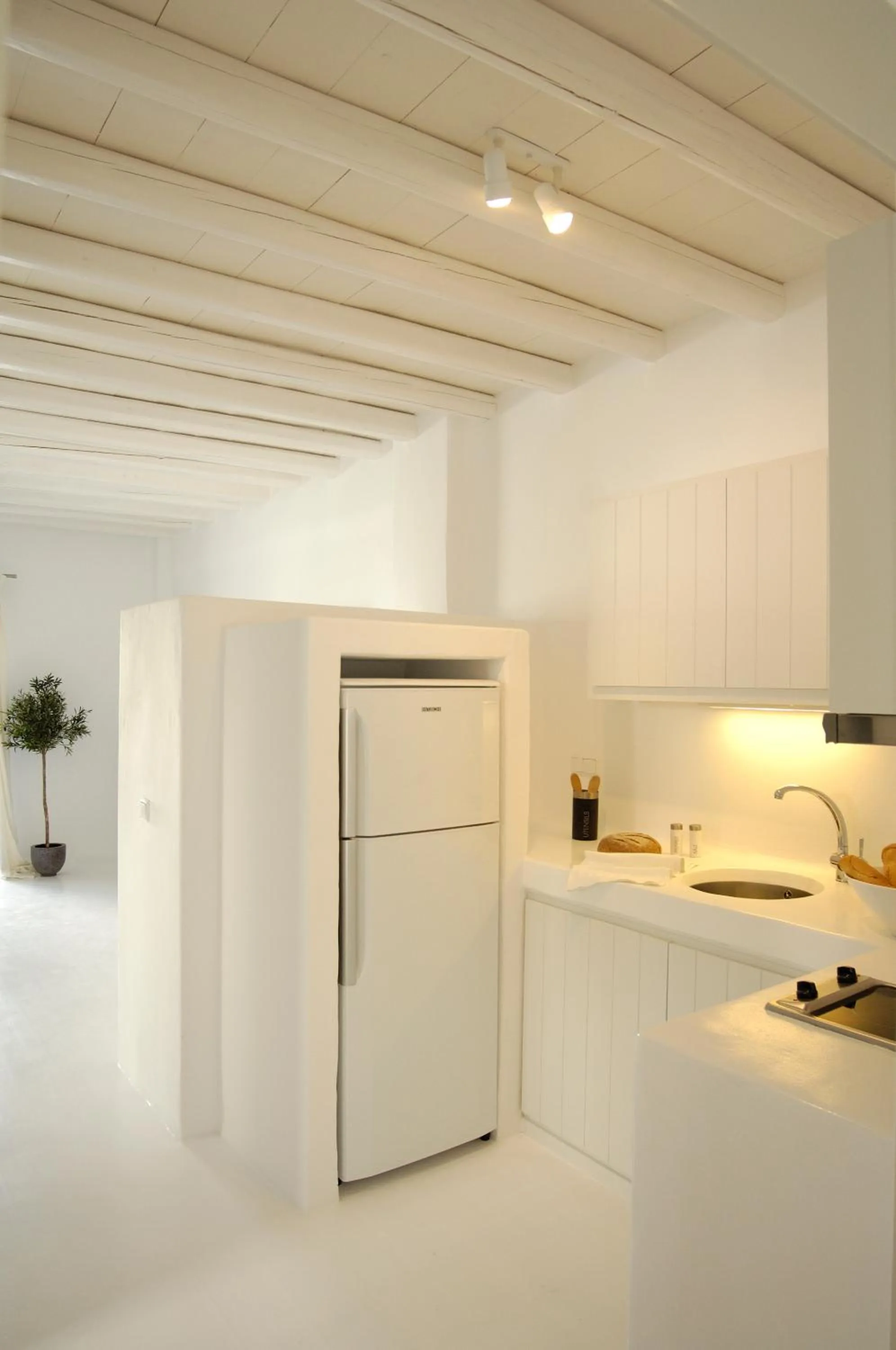 Kitchen or kitchenette in Kapetan Tasos Suites
