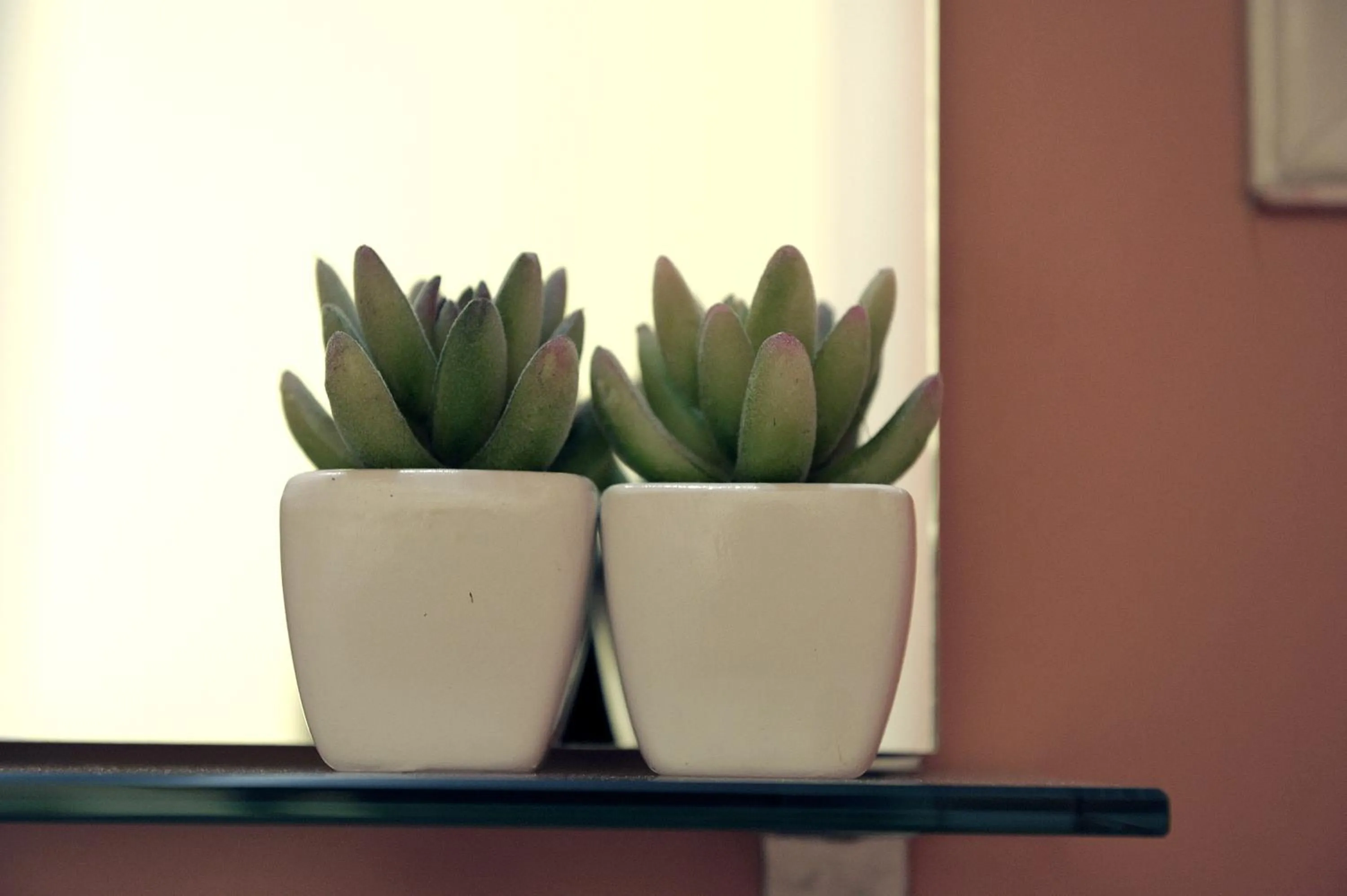 Decorative detail in Almyris