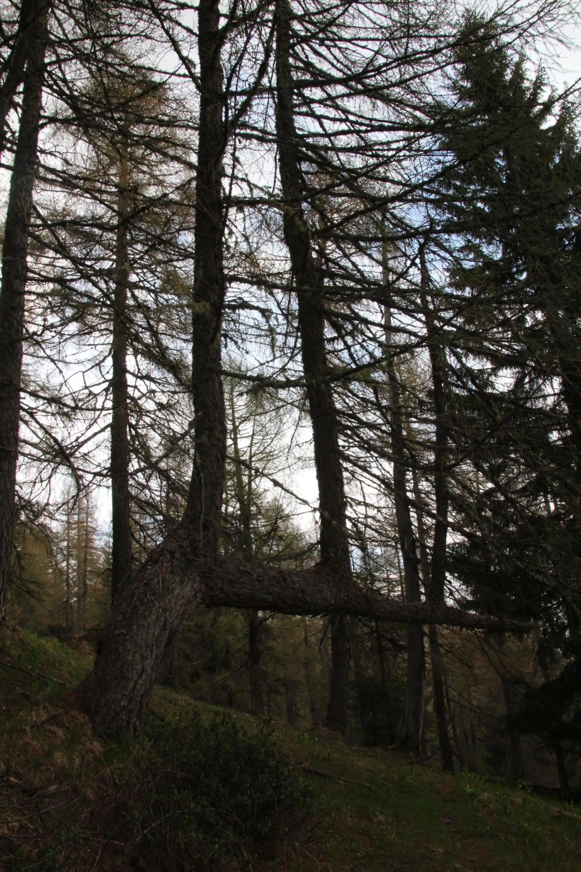 Spring in Locanda La Ruscoletta