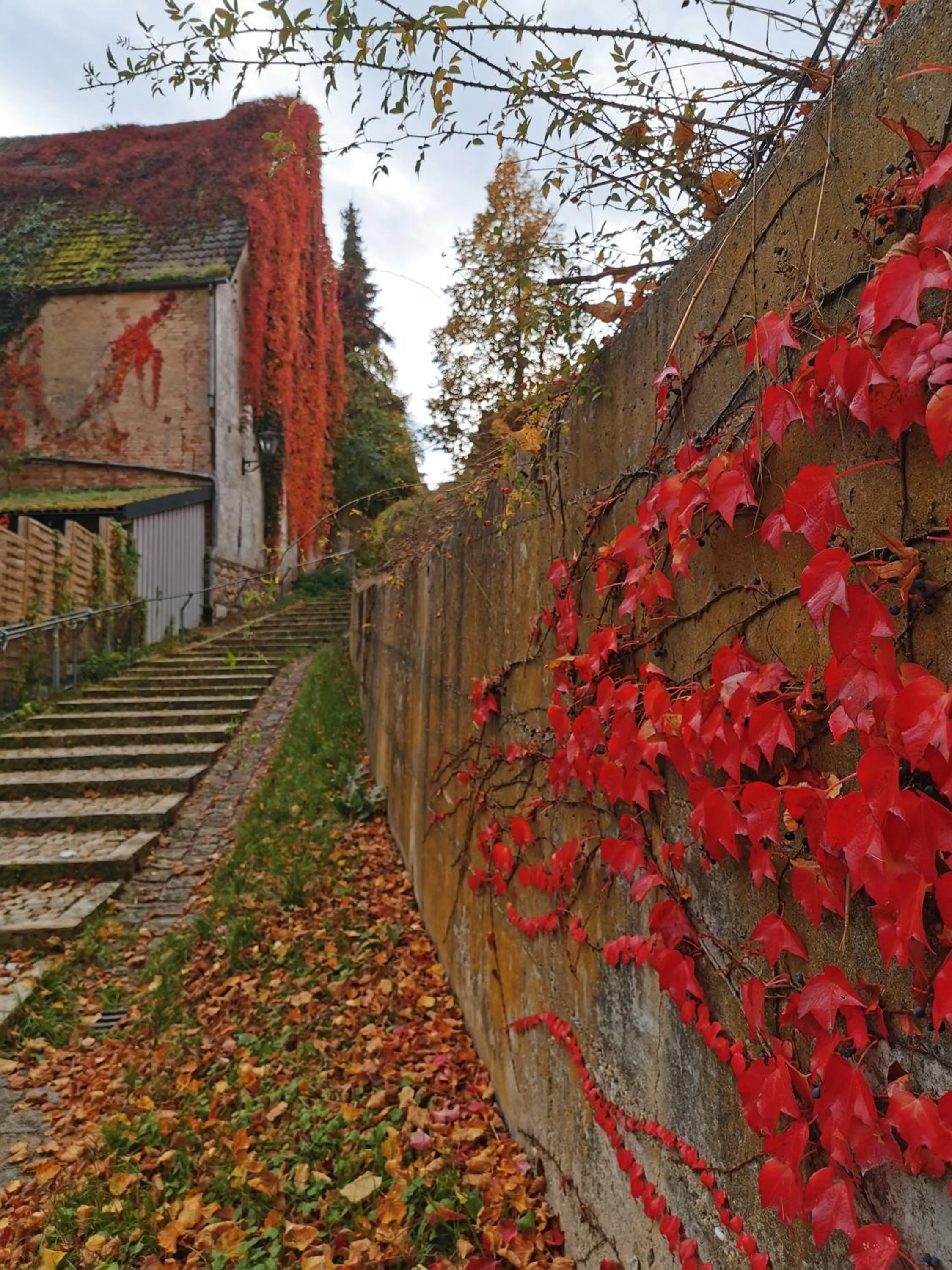 Gästezimmer Reitinger