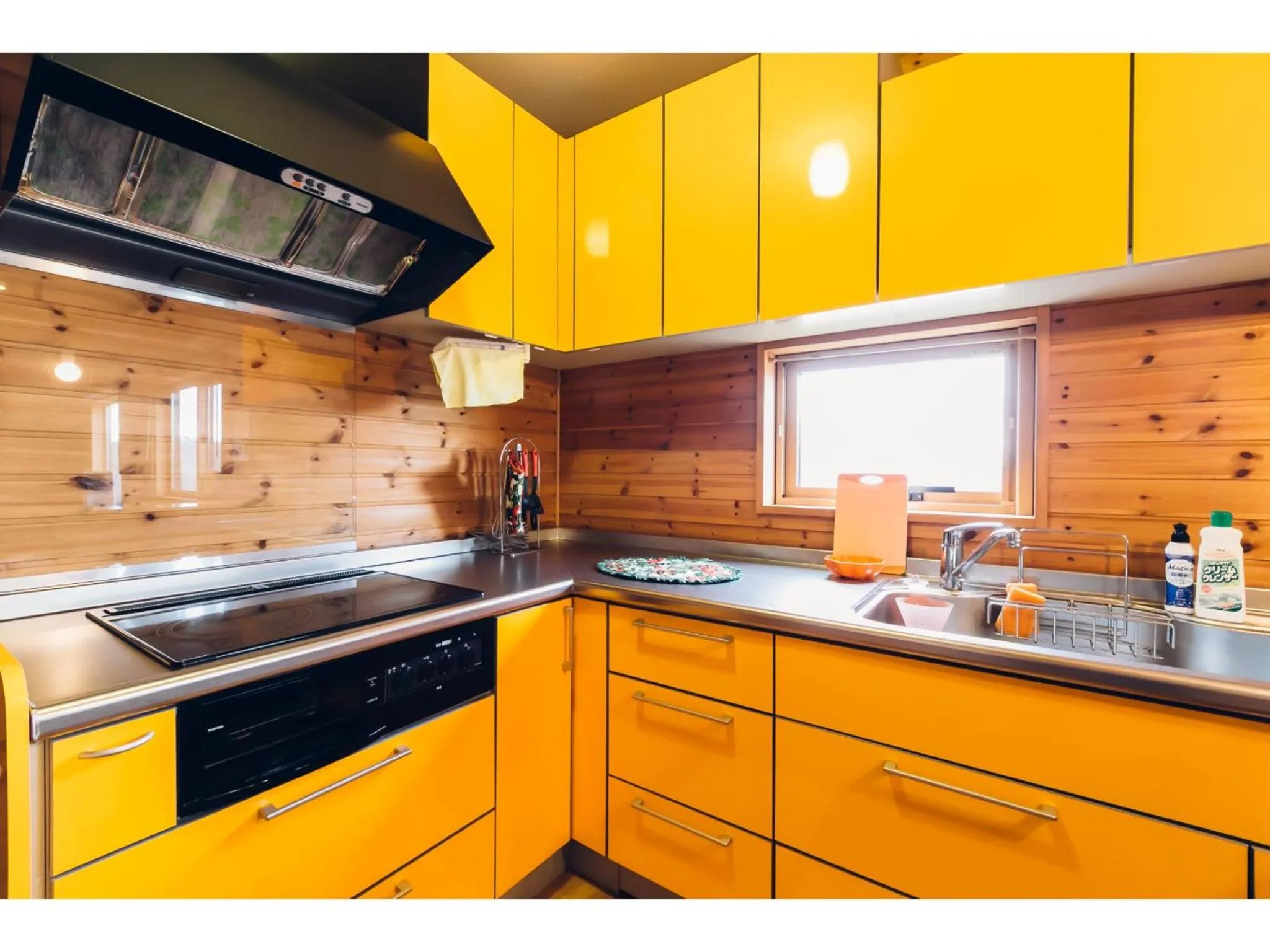 Kitchen or kitchenette in LAKE view PRIVATE log house
