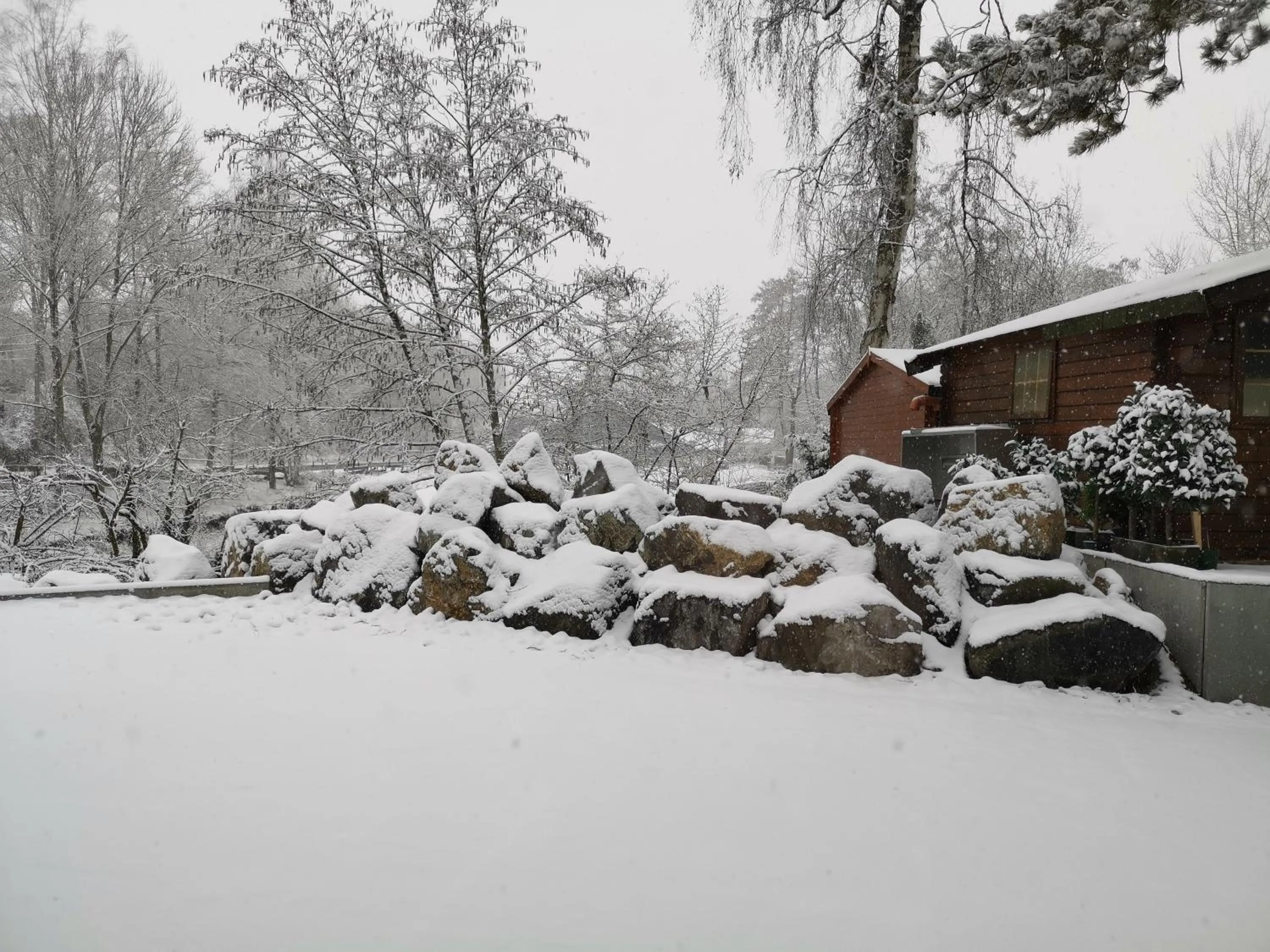 Winter in cité impériale ye