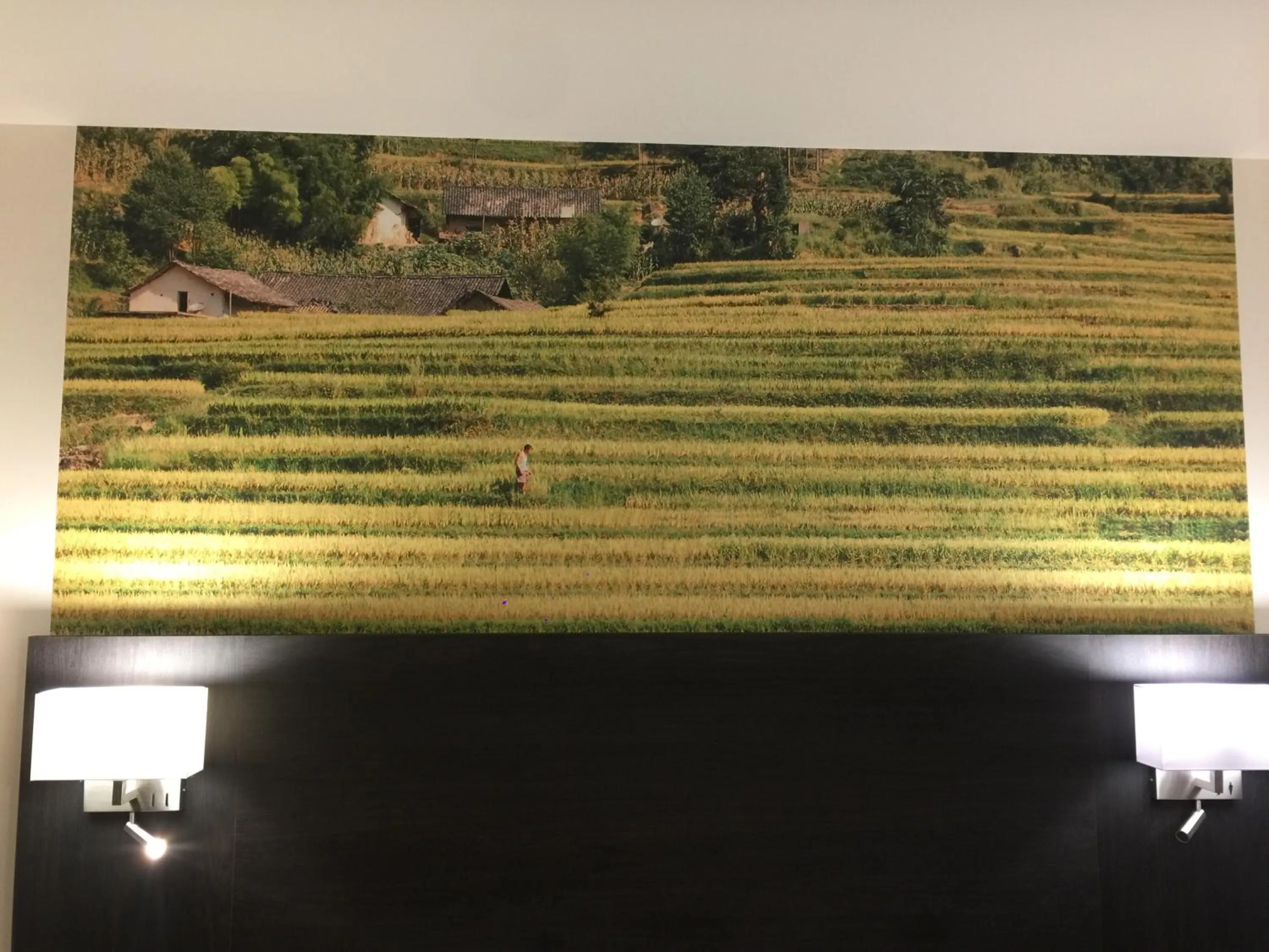 Decorative detail in cité impériale ye