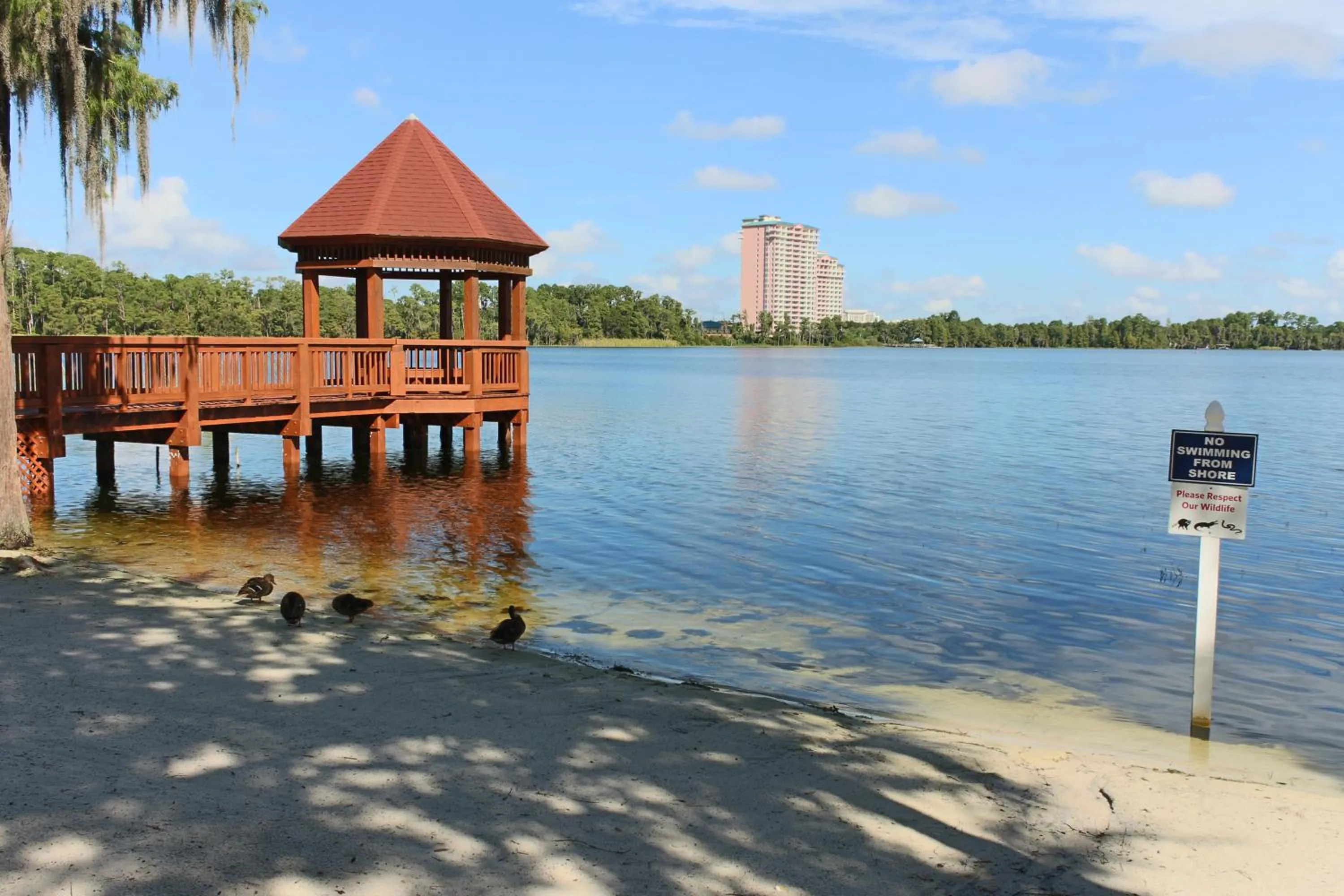 Beach in Hilton Vacation Club Grand Beach Orlando