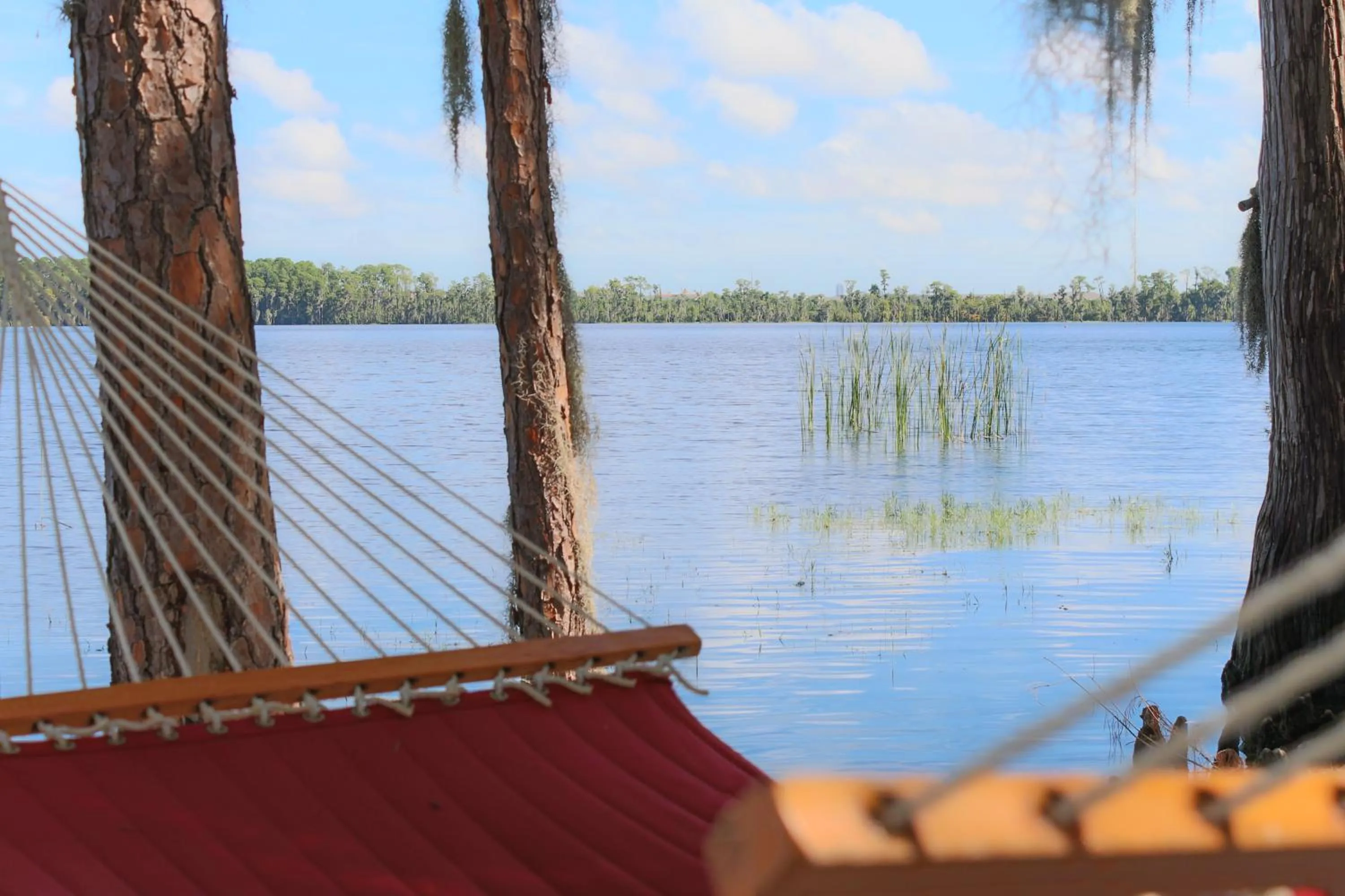 Other in Hilton Vacation Club Grand Beach Orlando