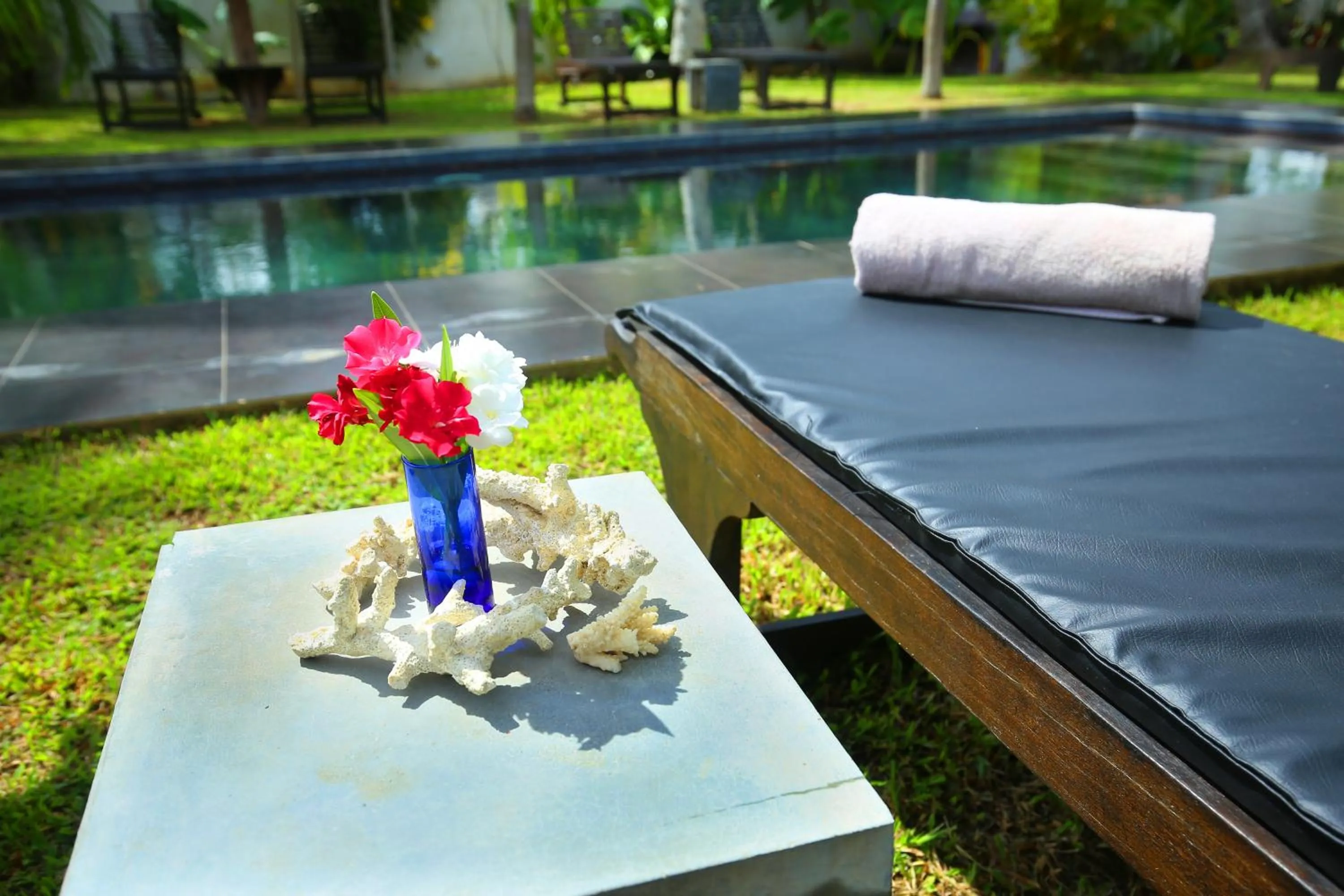 Swimming pool in Turtle Eco Beach