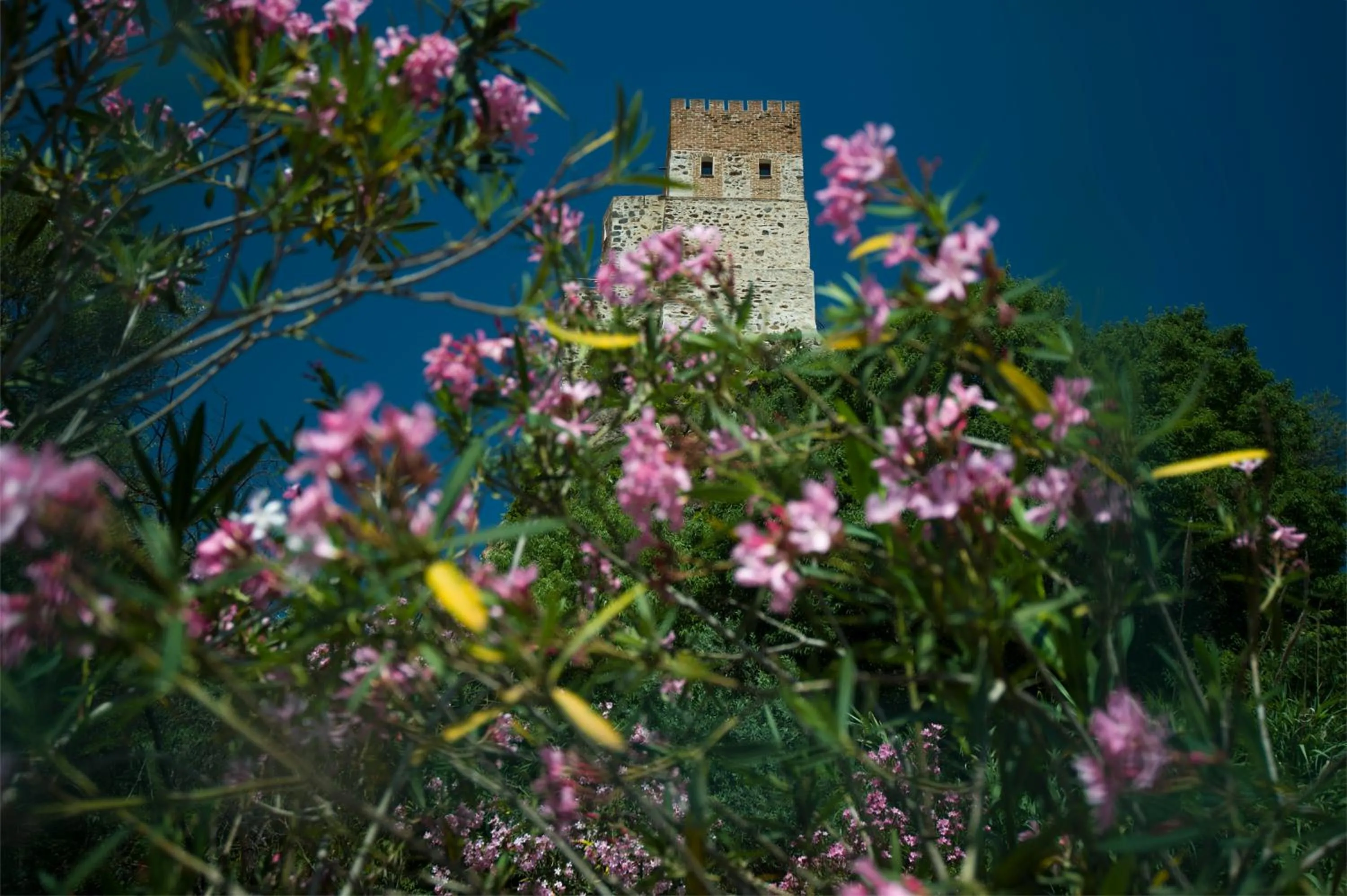 Property building in Castello Malicas