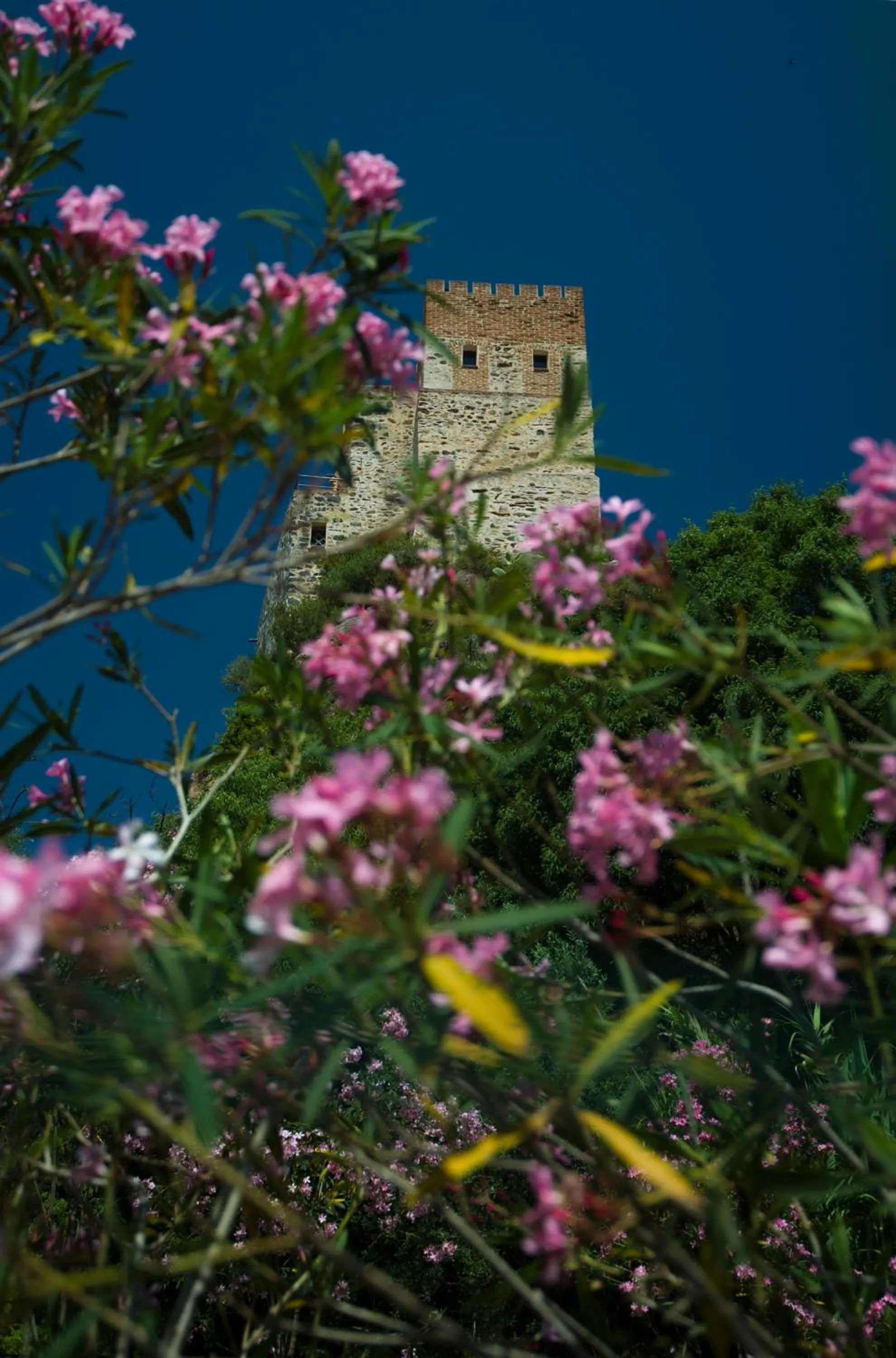 Property building in Castello Malicas