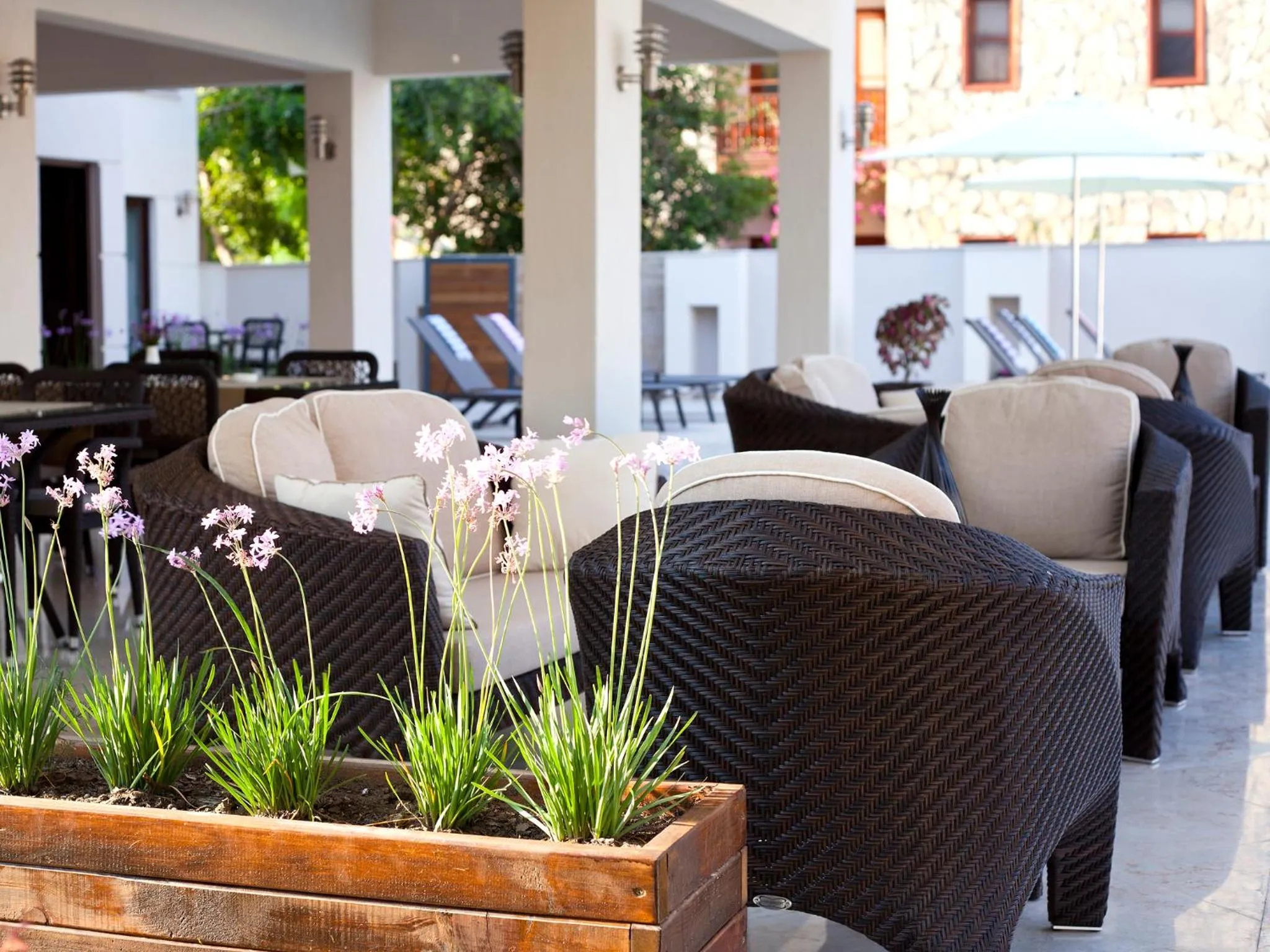 Communal lounge/ TV room in Montana Hotel