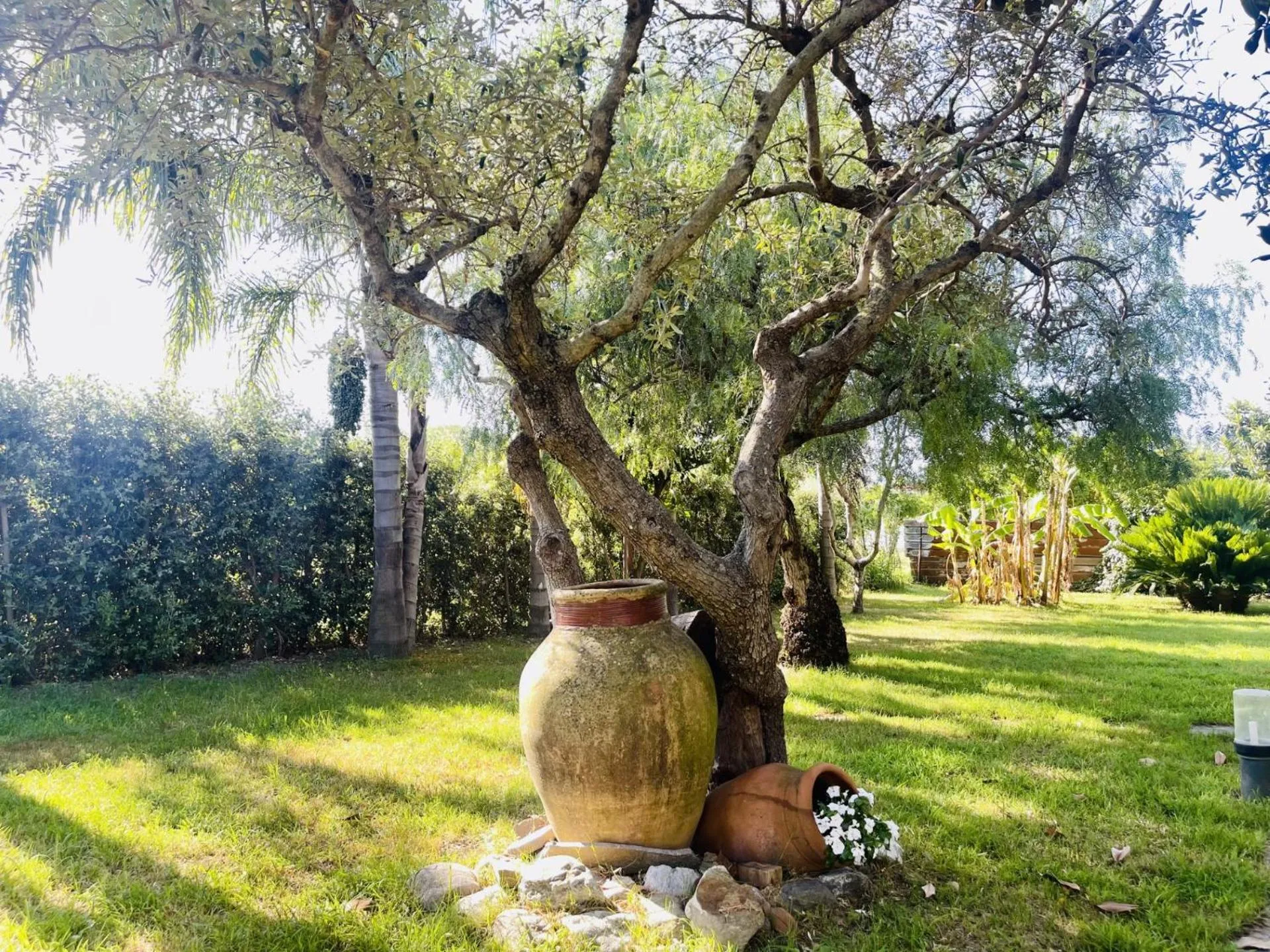 Garden in Borgo Camicia In