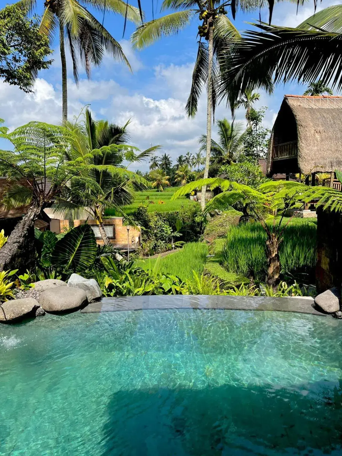 Deluxe Villa in Pondok Sebatu Eco Lodge Deluxe Villa in Pondok Sebatu Eco Lodge