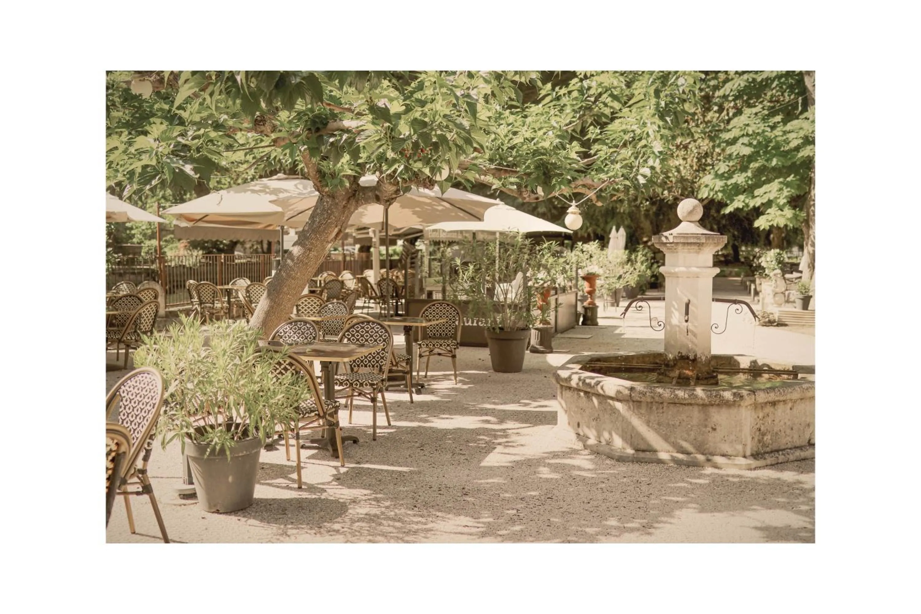 Restaurant/places to eat in Logis Hôtel Restaurant du Parc