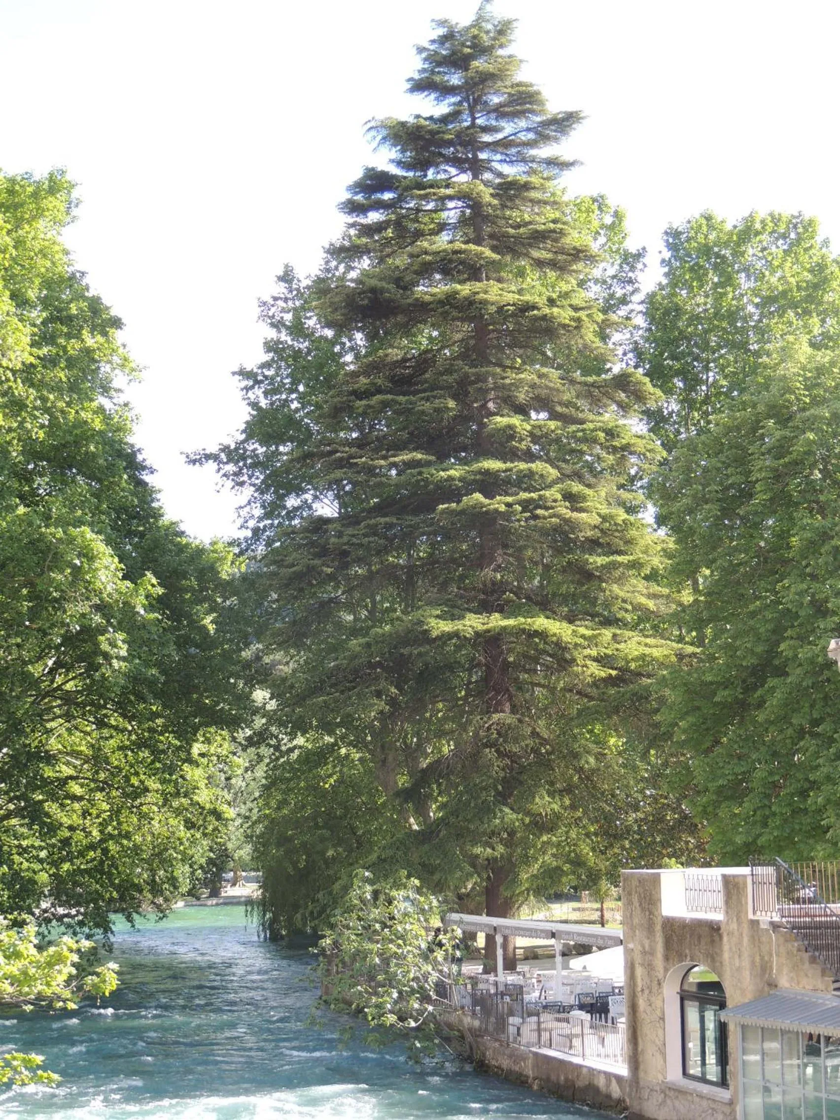 Natural landscape in Logis Hôtel Restaurant du Parc