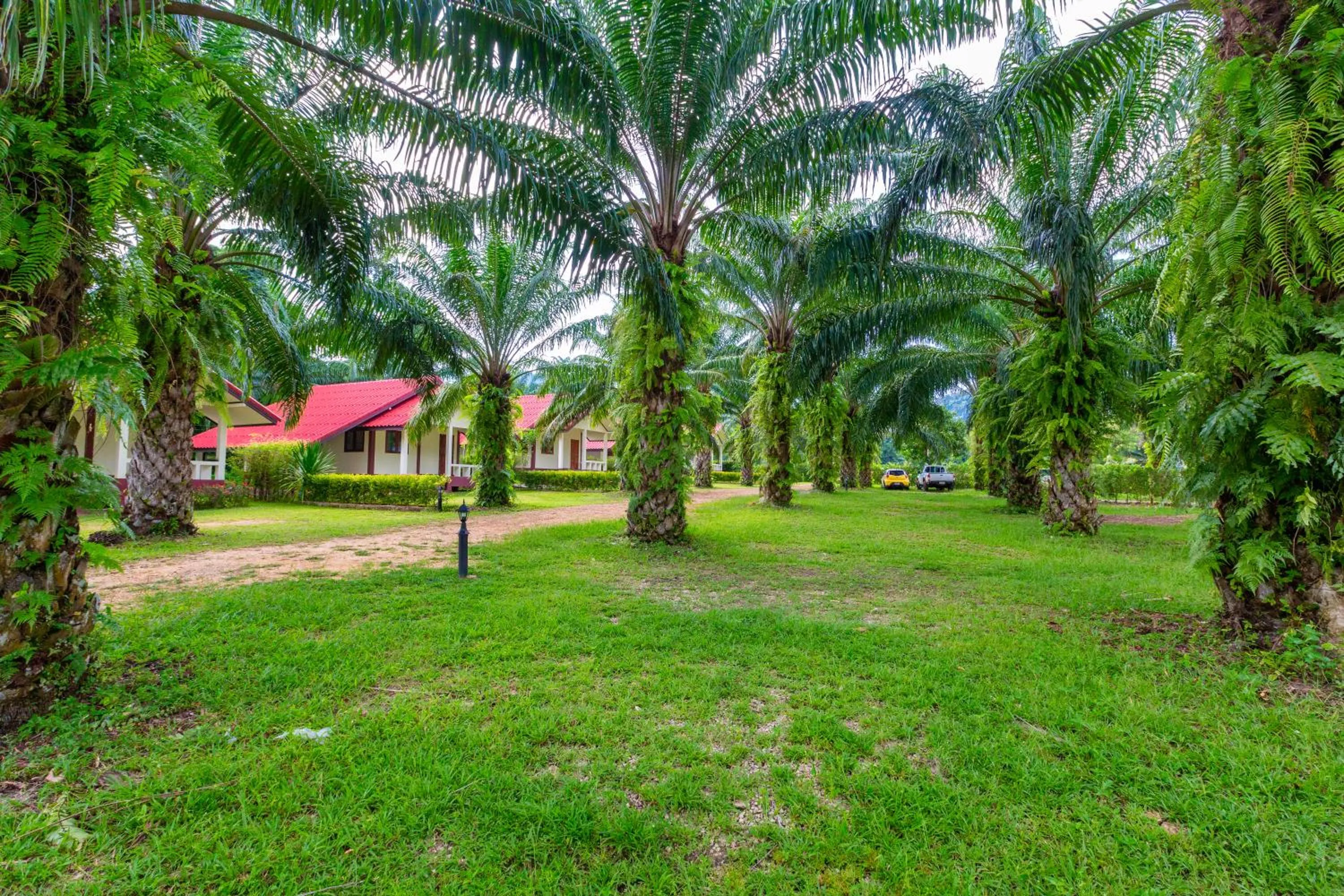 Garden in Green Garden House