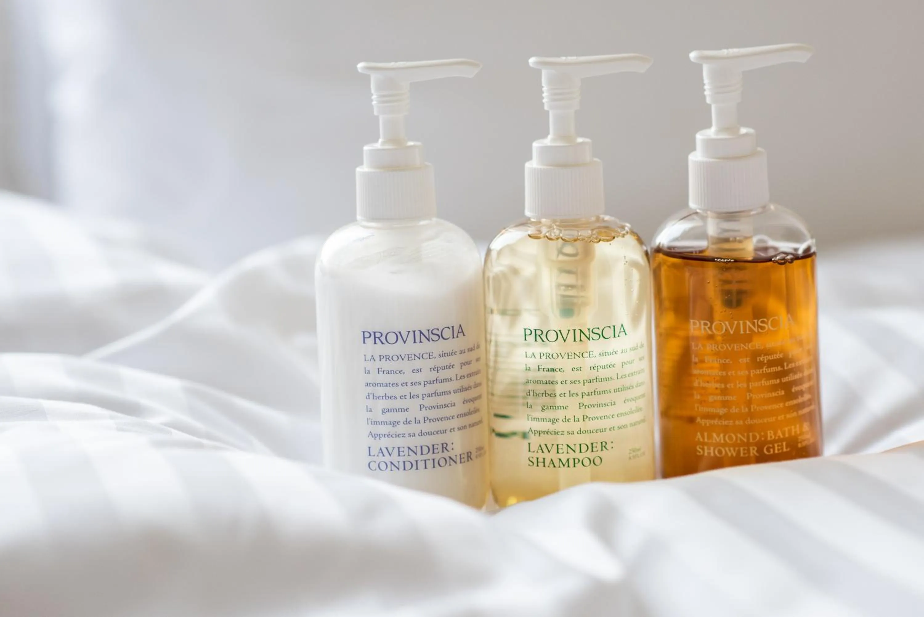 Photo of the whole room in Hotel Vista Tokyo Tsukiji