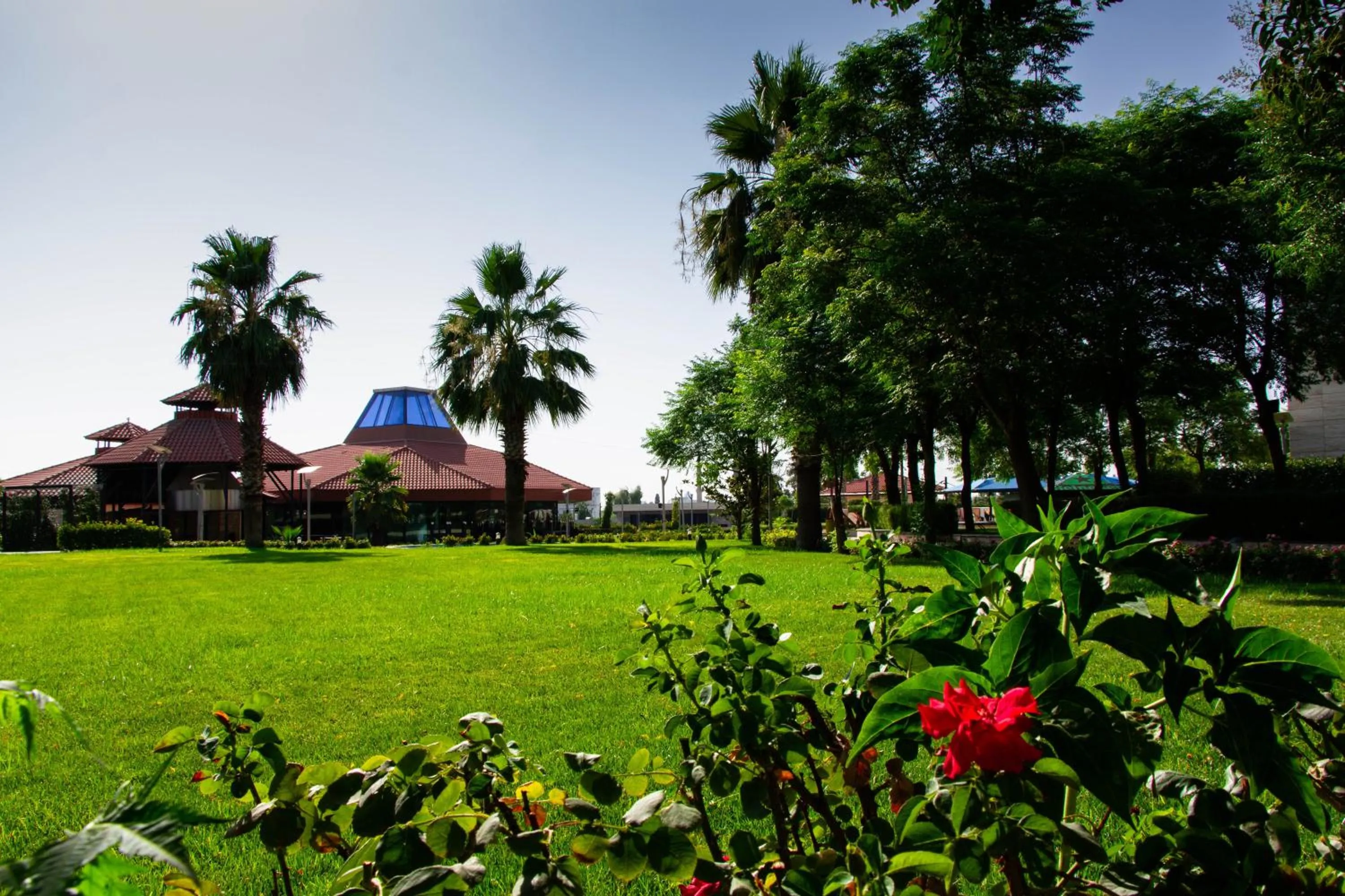 Property building in Erbil International Hotel