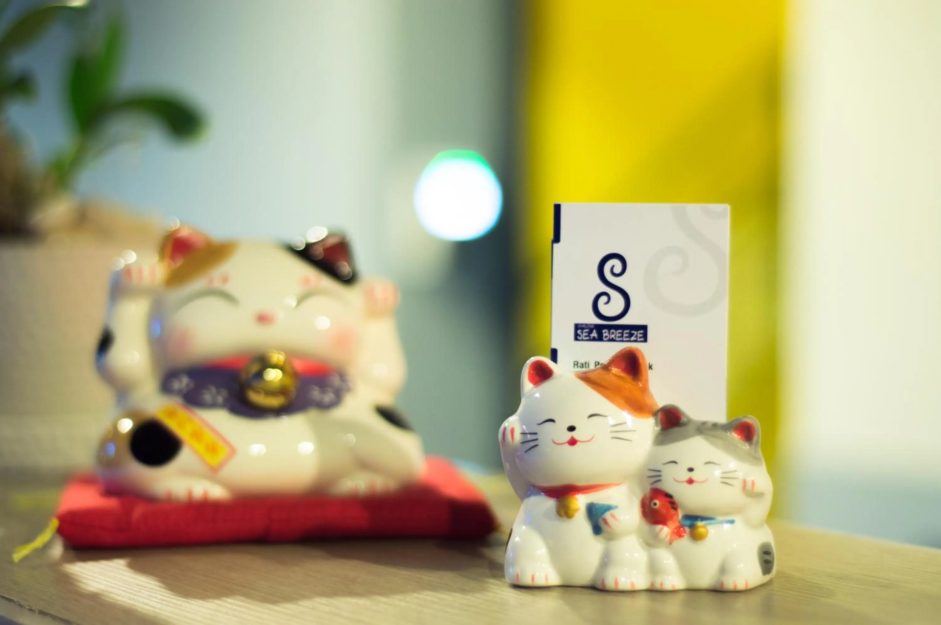 Property logo or sign in Chalong Sea Breeze