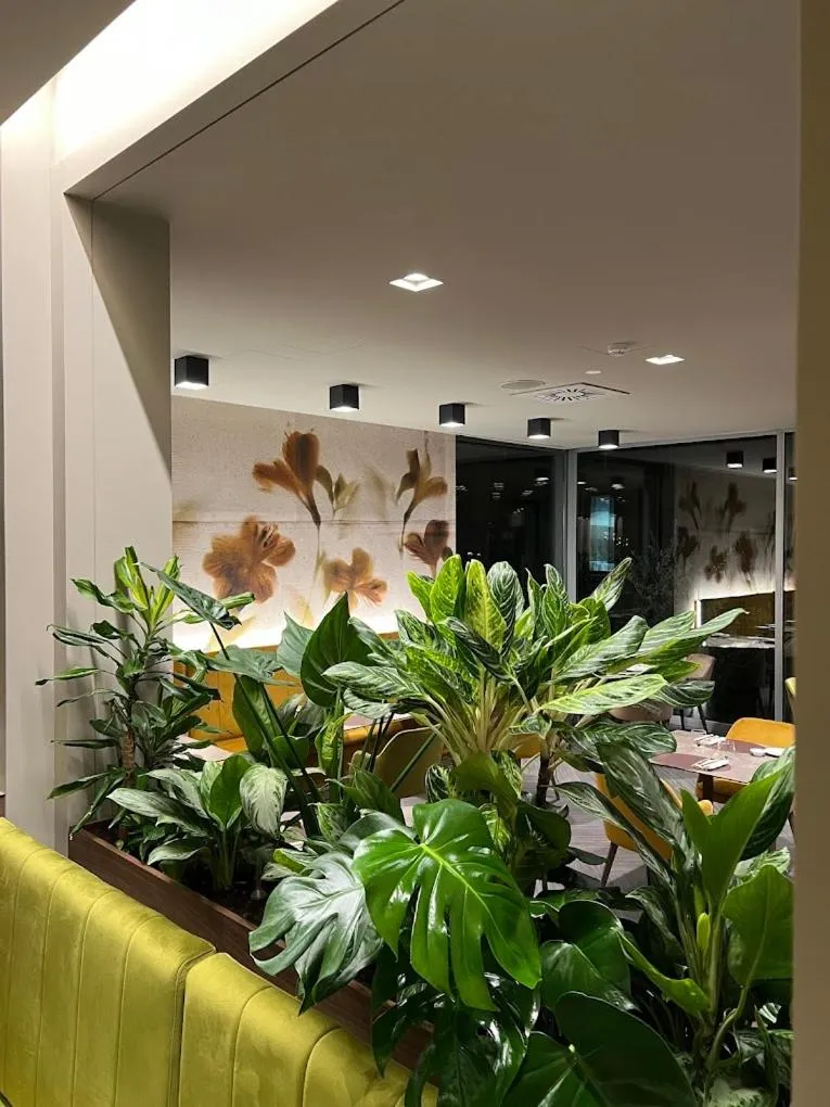 Restaurant/places to eat in Hotel Nuovo